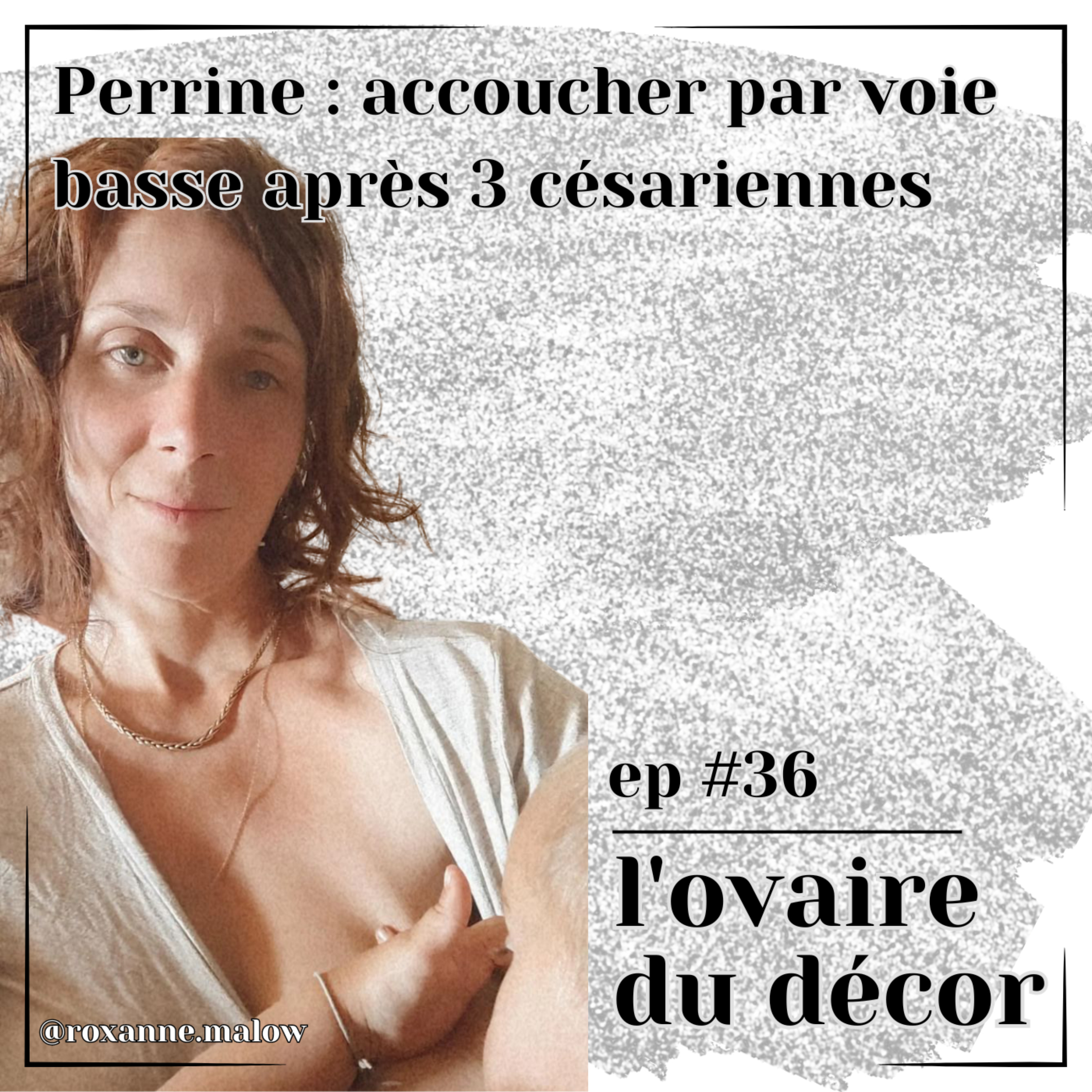 L\'ovaire du décor