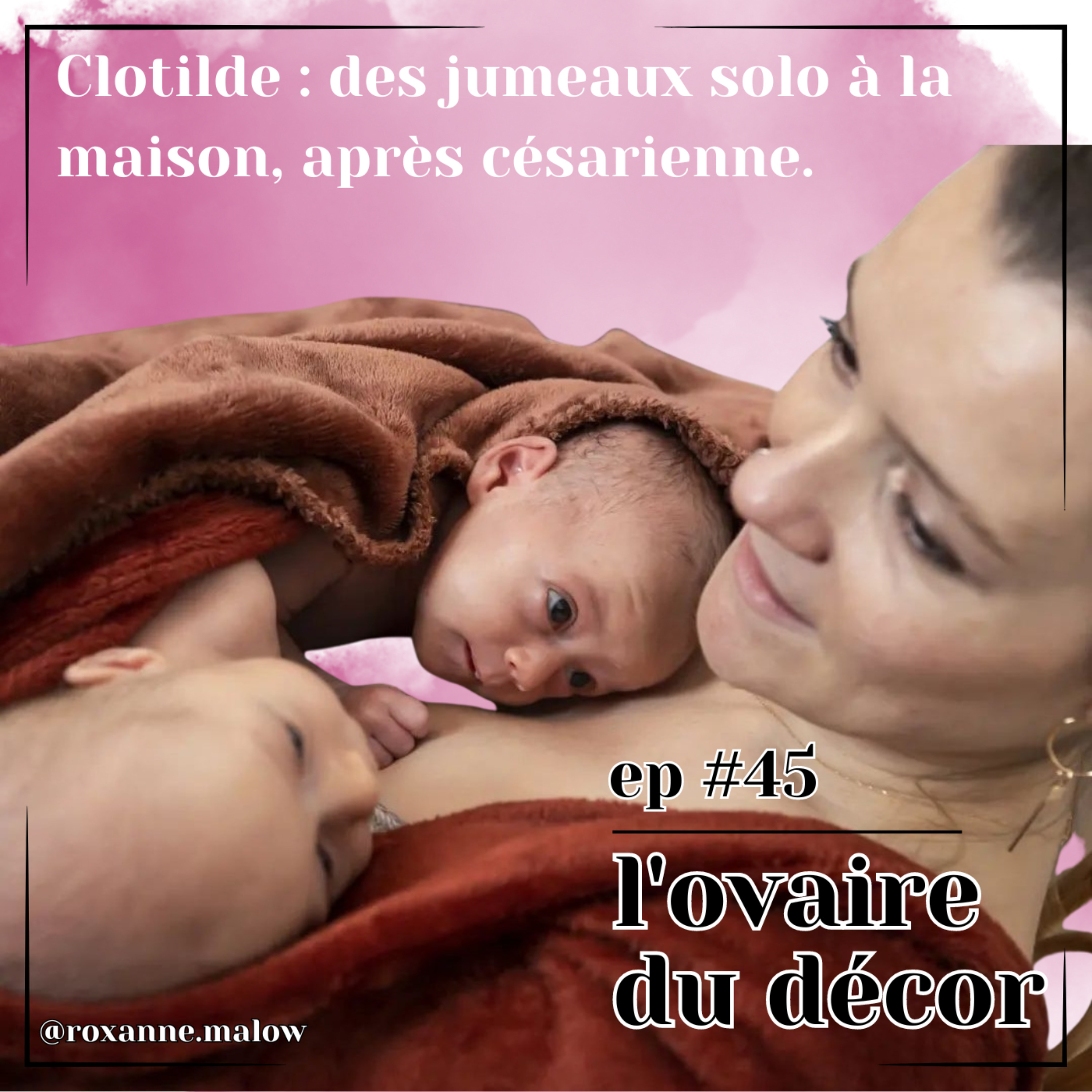 L\'ovaire du décor