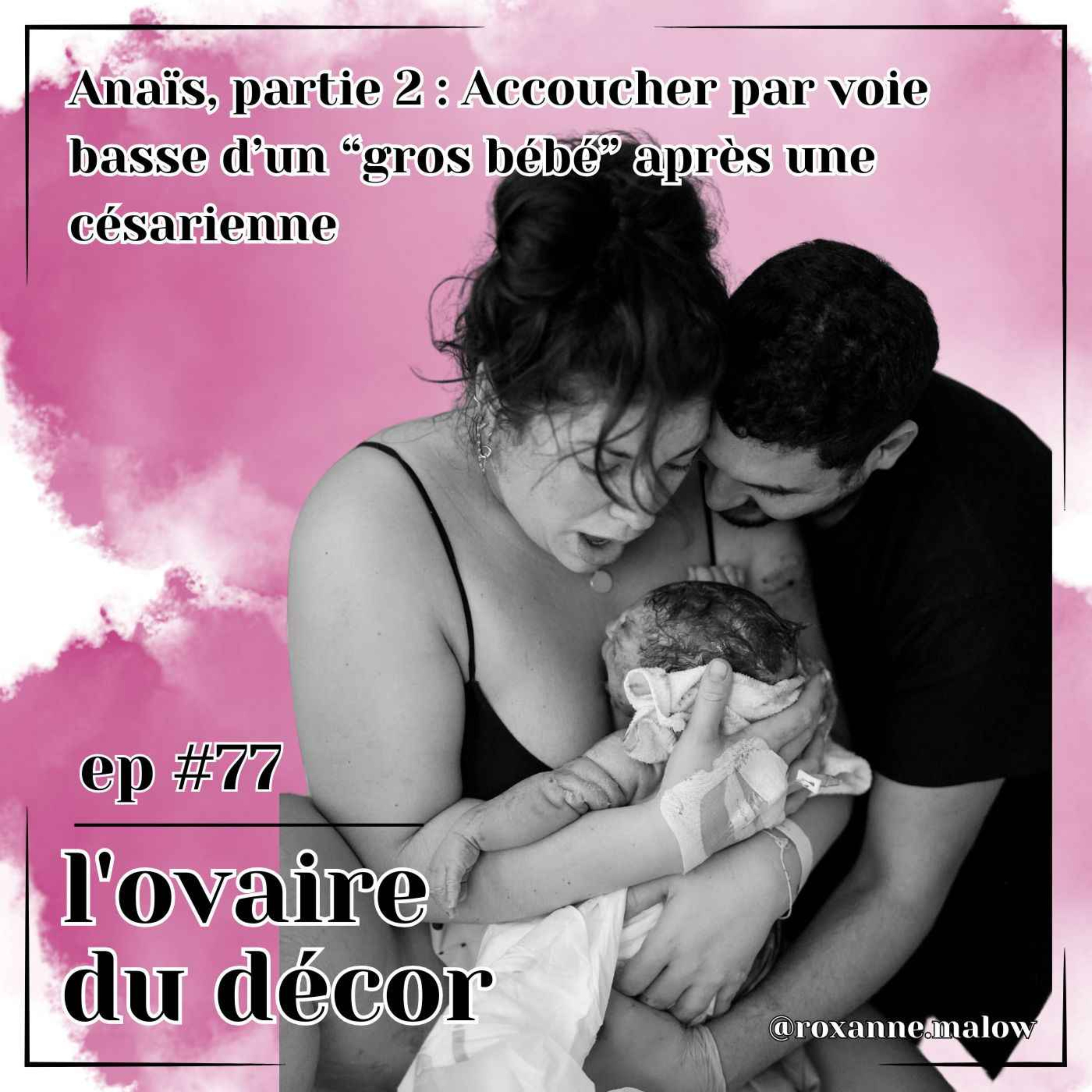 L\'ovaire du décor