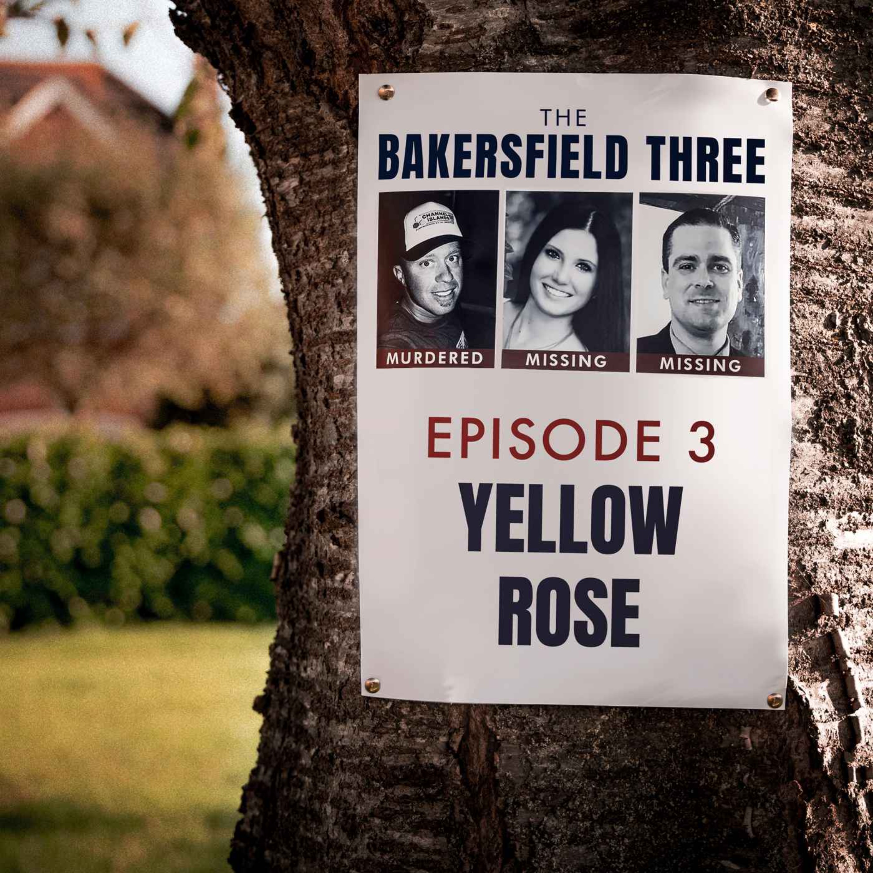 cover art for Episode 3: Yellow Rose
