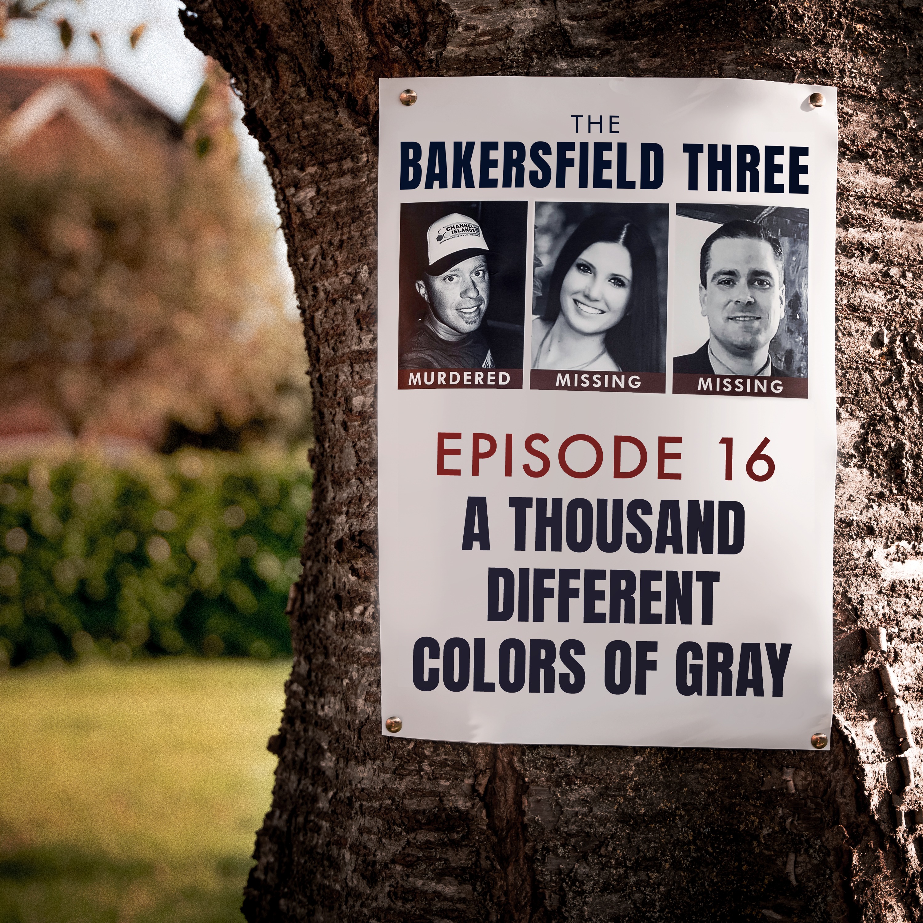 cover art for Episode 16: A Thousand Different Colors of Gray