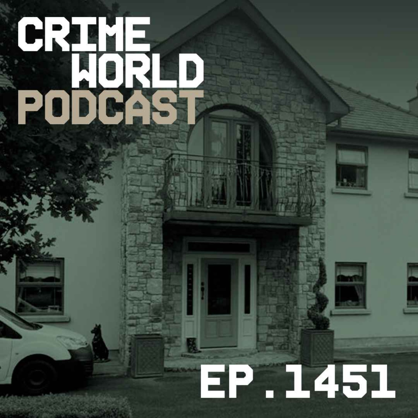 Why one family's Celtic Tiger dream home was demolished in a day