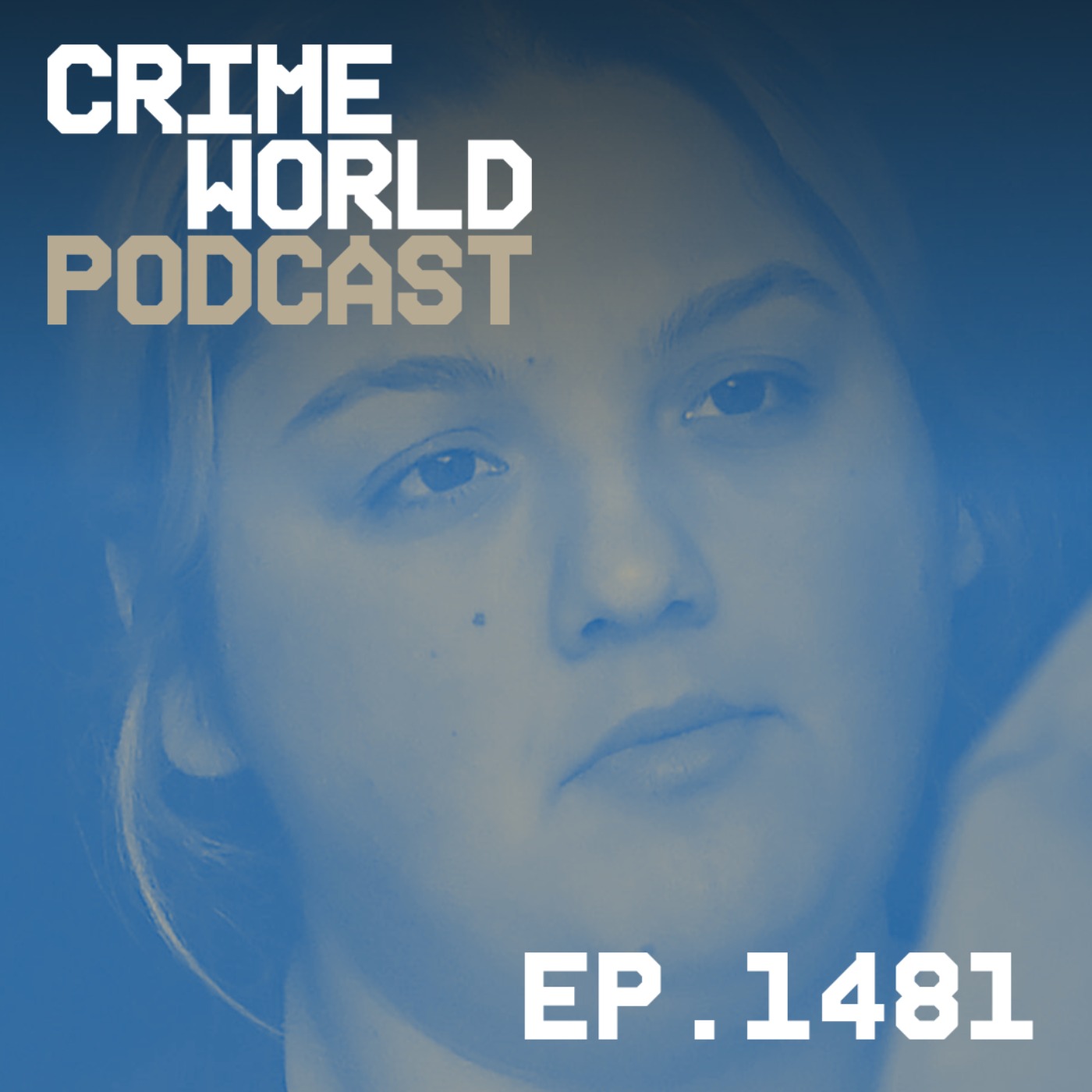 ICE deports woman who was convicted of stealing two hams back to Ireland