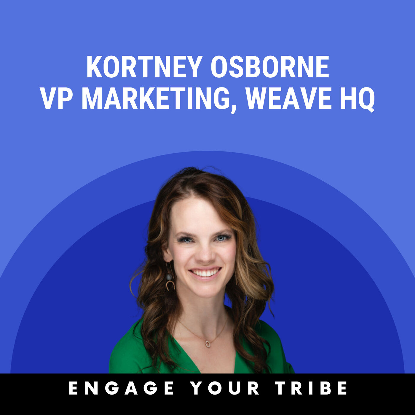 B2B Content Show: A Podcast About the How, What, and Why of B2B Content Marketing