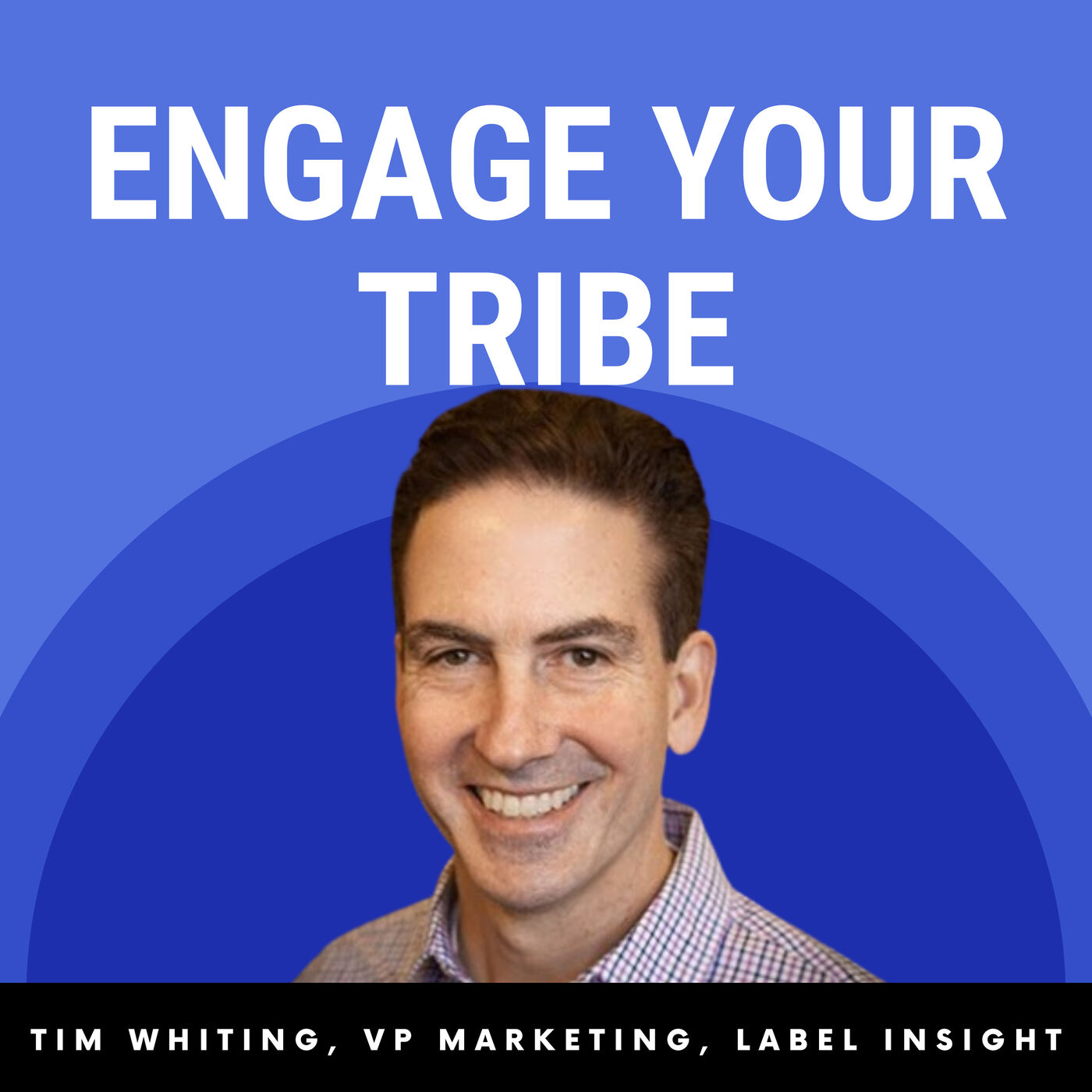 B2B Content Show: A Podcast About the How, What, and Why of B2B Content Marketing