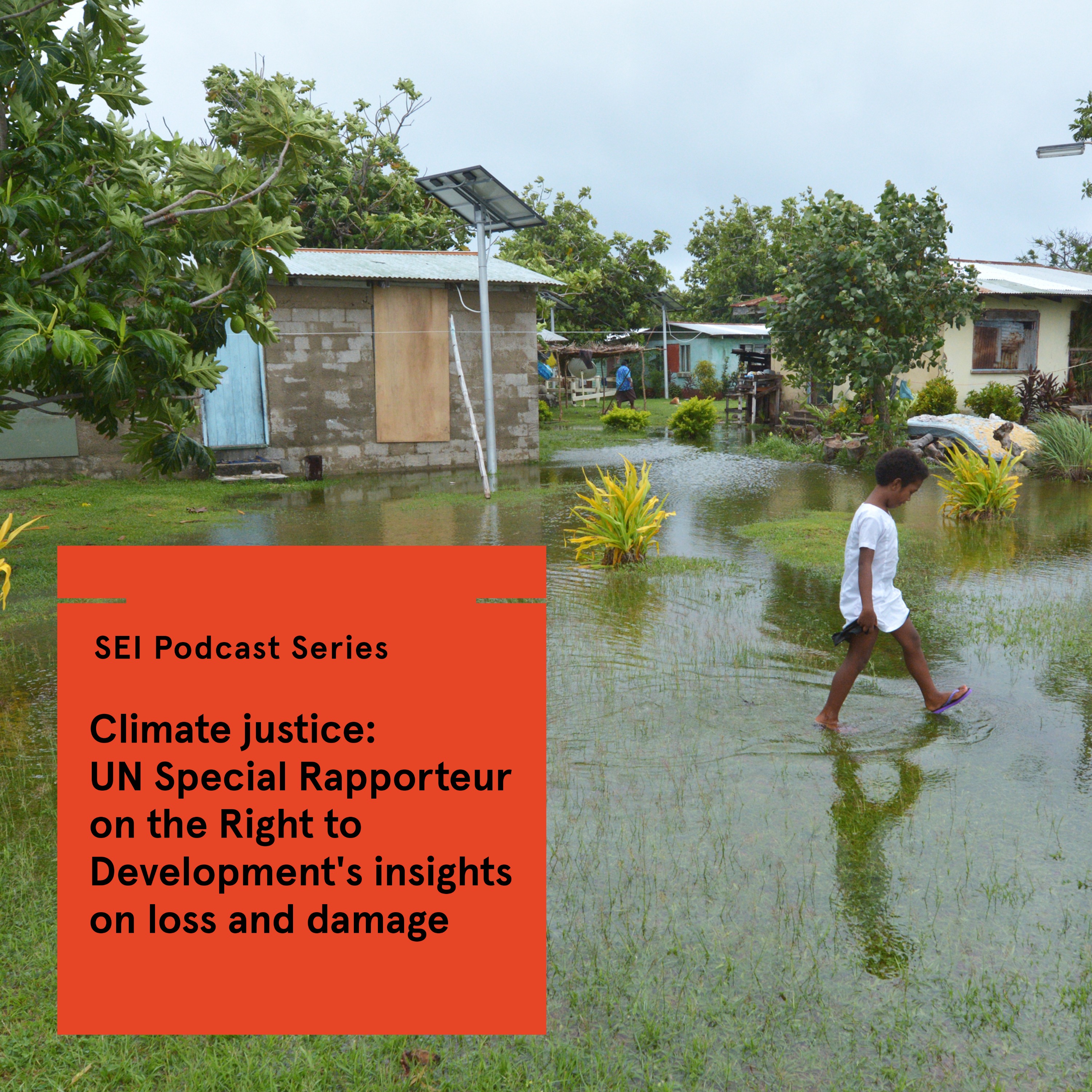 UN Special Rapporteur on the Right to Development's insights on loss and damage episode artwork