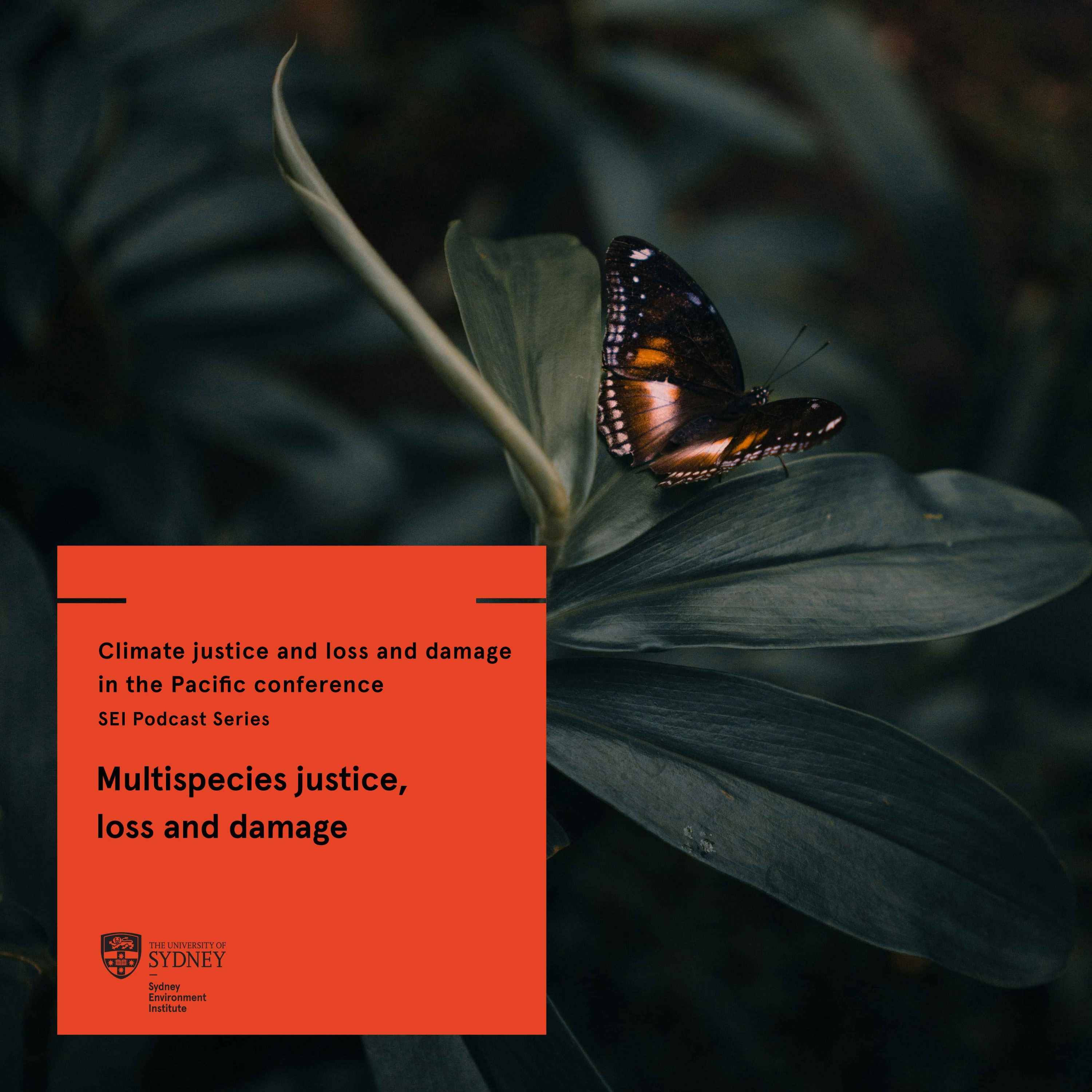 Multispecies justice, loss and damage (Climate justice and loss and damage in the Pacific conference) episode artwork
