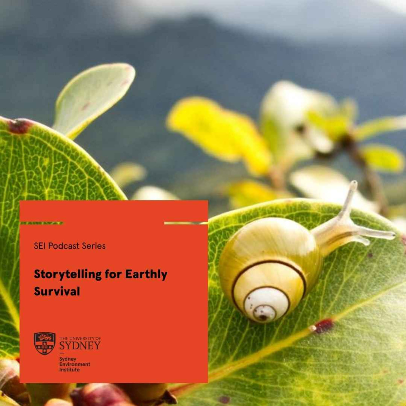 Storytelling for Earthly Survival episode artwork