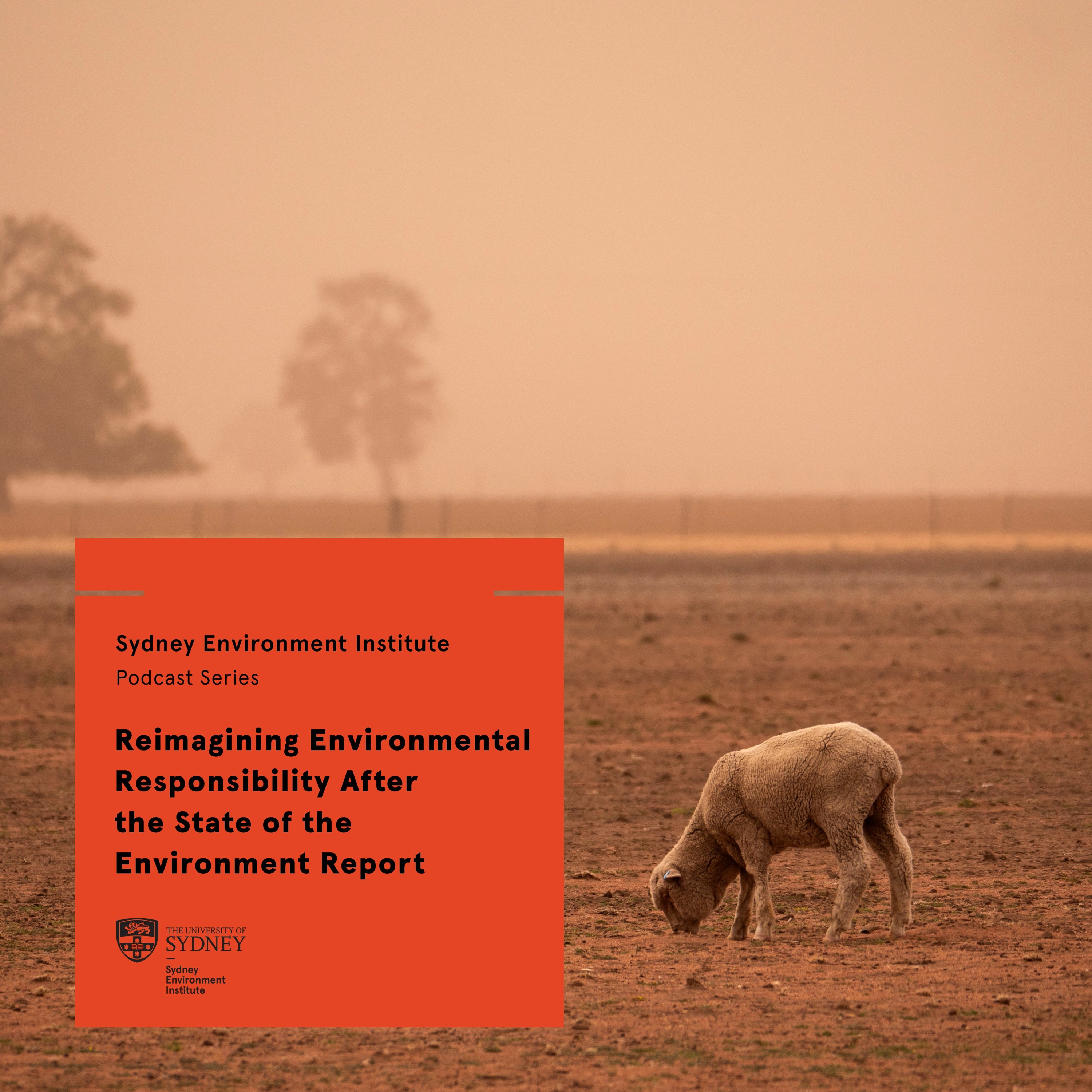 Reimagining Environmental Responsibility After the State of the Environment Report