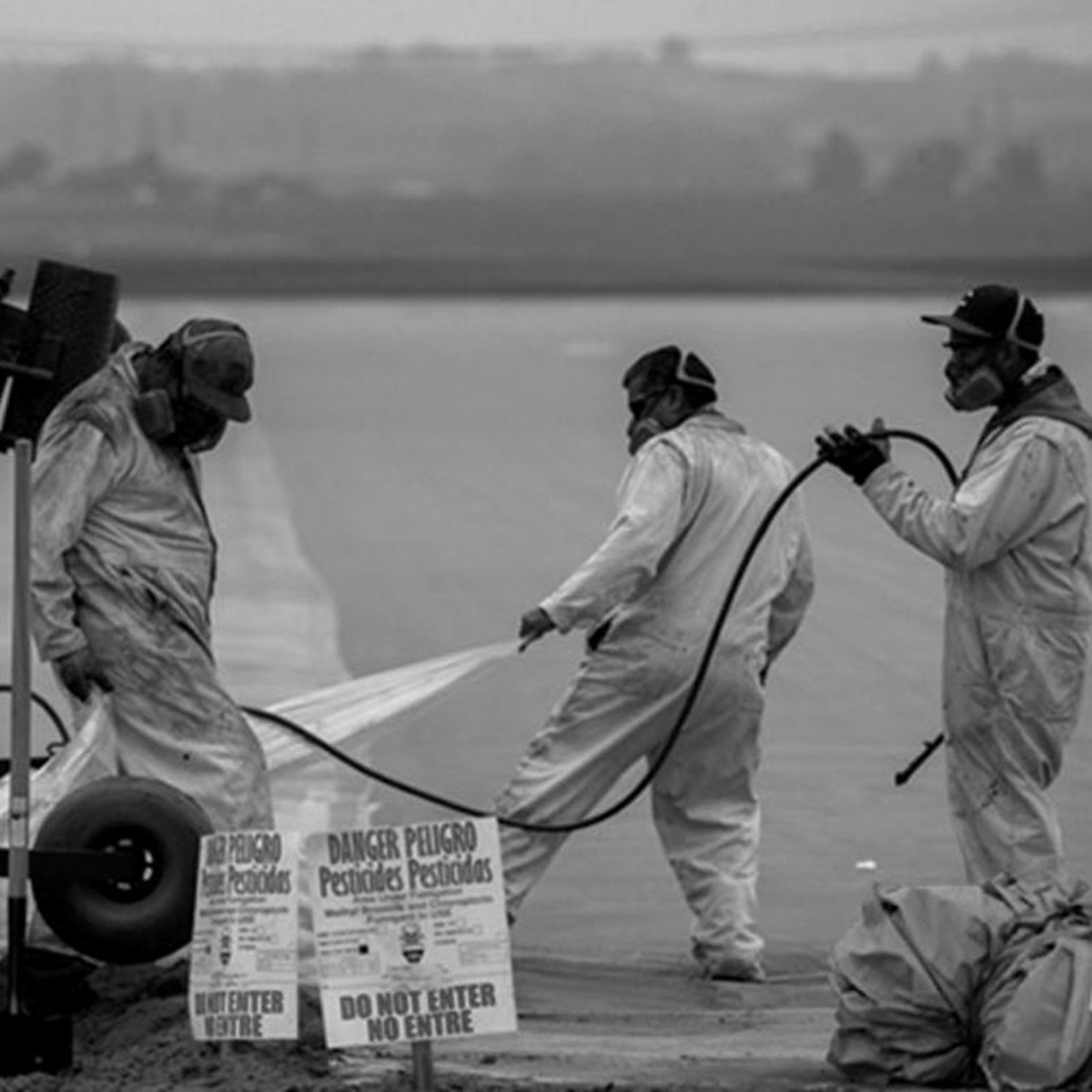 Lives Versus Livelihoods? Biopolitics in California’s strawberry industry