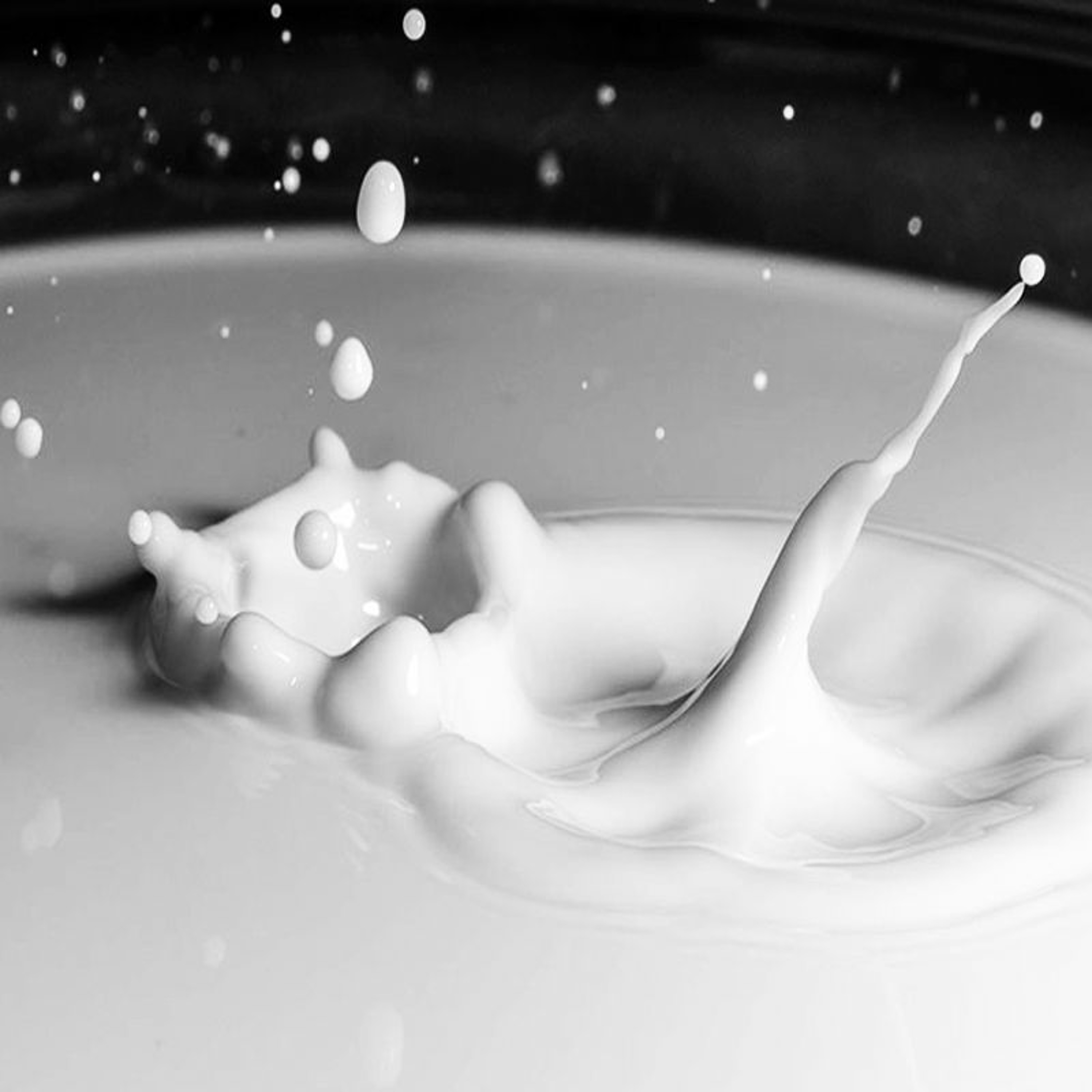 'Risky Milk Risky Cheese' - Uncovering the good and bad of raw milk episode artwork