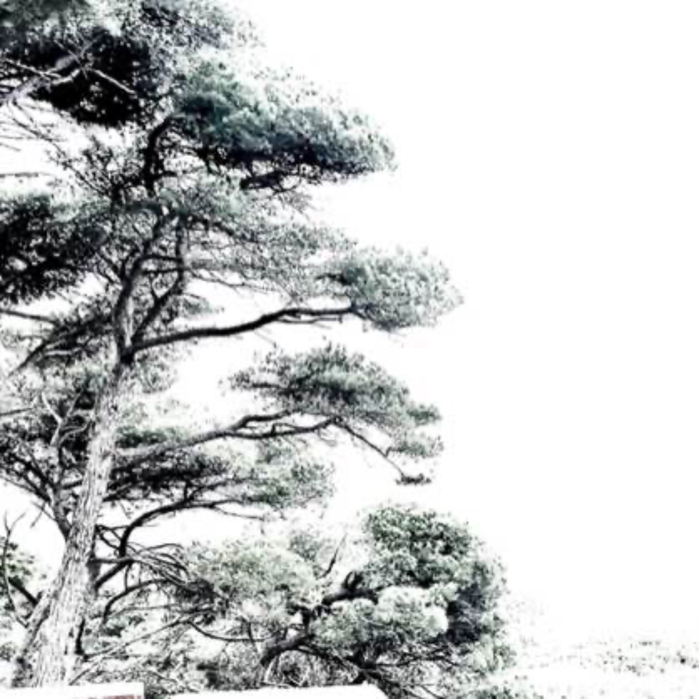 Angry Hardstyle Music 🎼