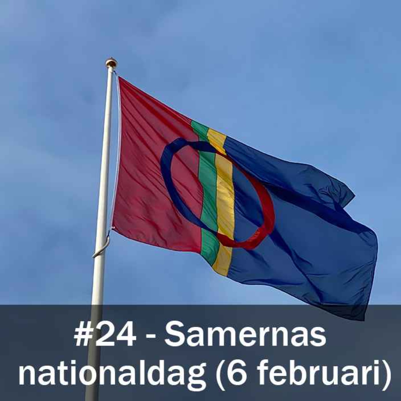cover art for Samernas nationaldag (6 februari)