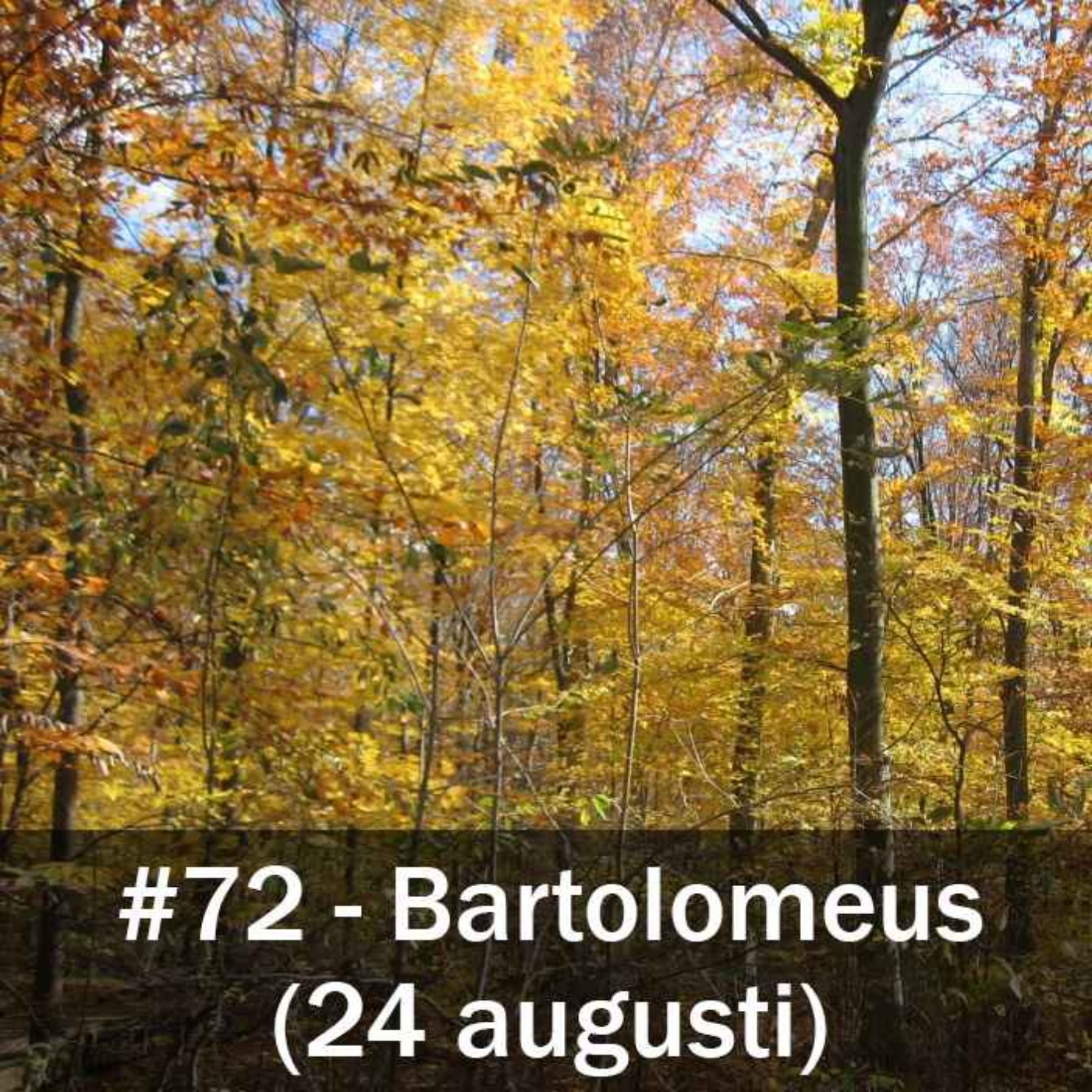 Bartolomeusdagen (24 augusti)