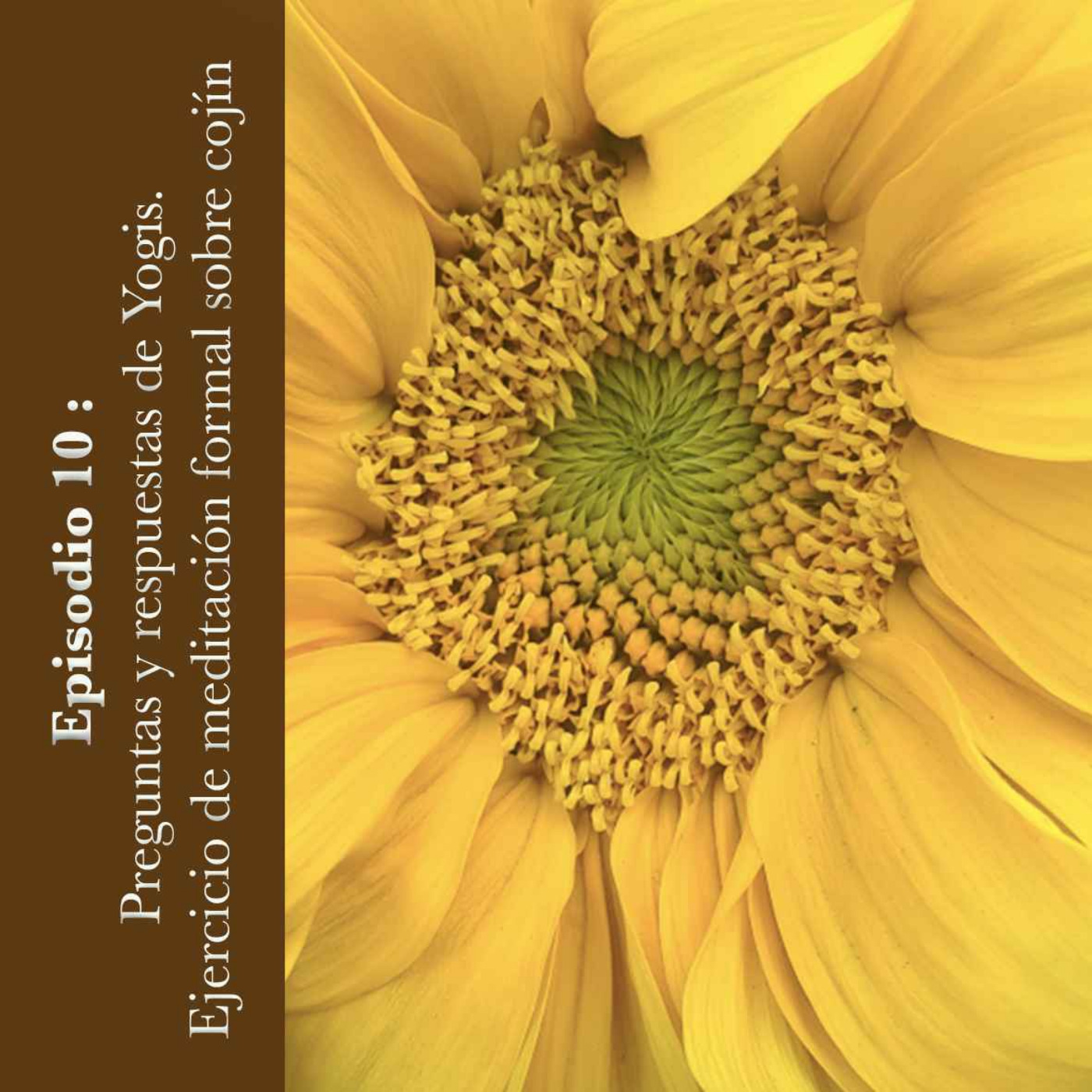 Vipassana en tu cotidiano podcast