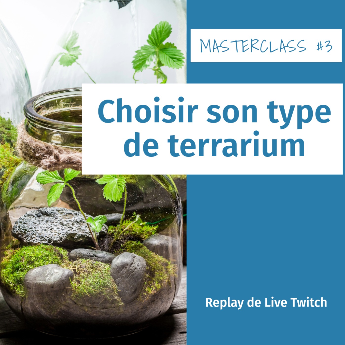 Masterclass terrariophiles