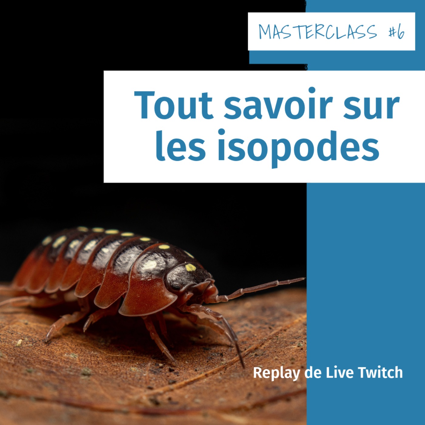 Masterclass terrariophiles