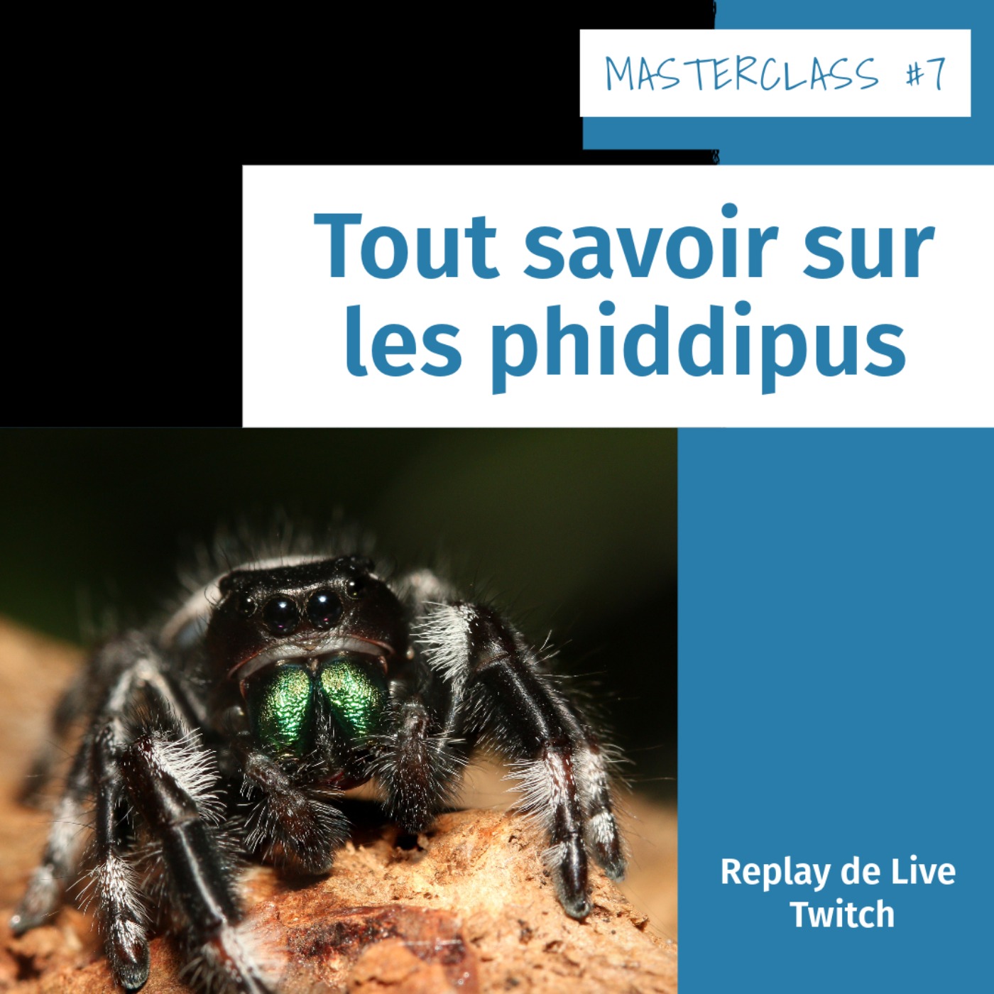 Masterclass terrariophiles
