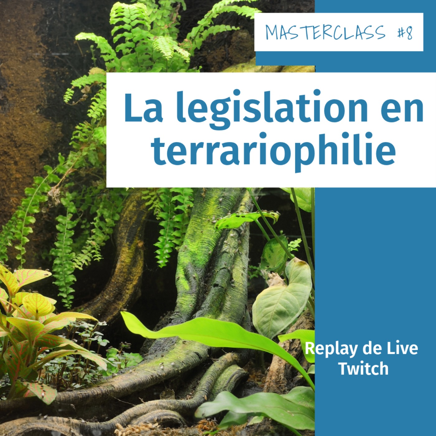 Masterclass terrariophiles