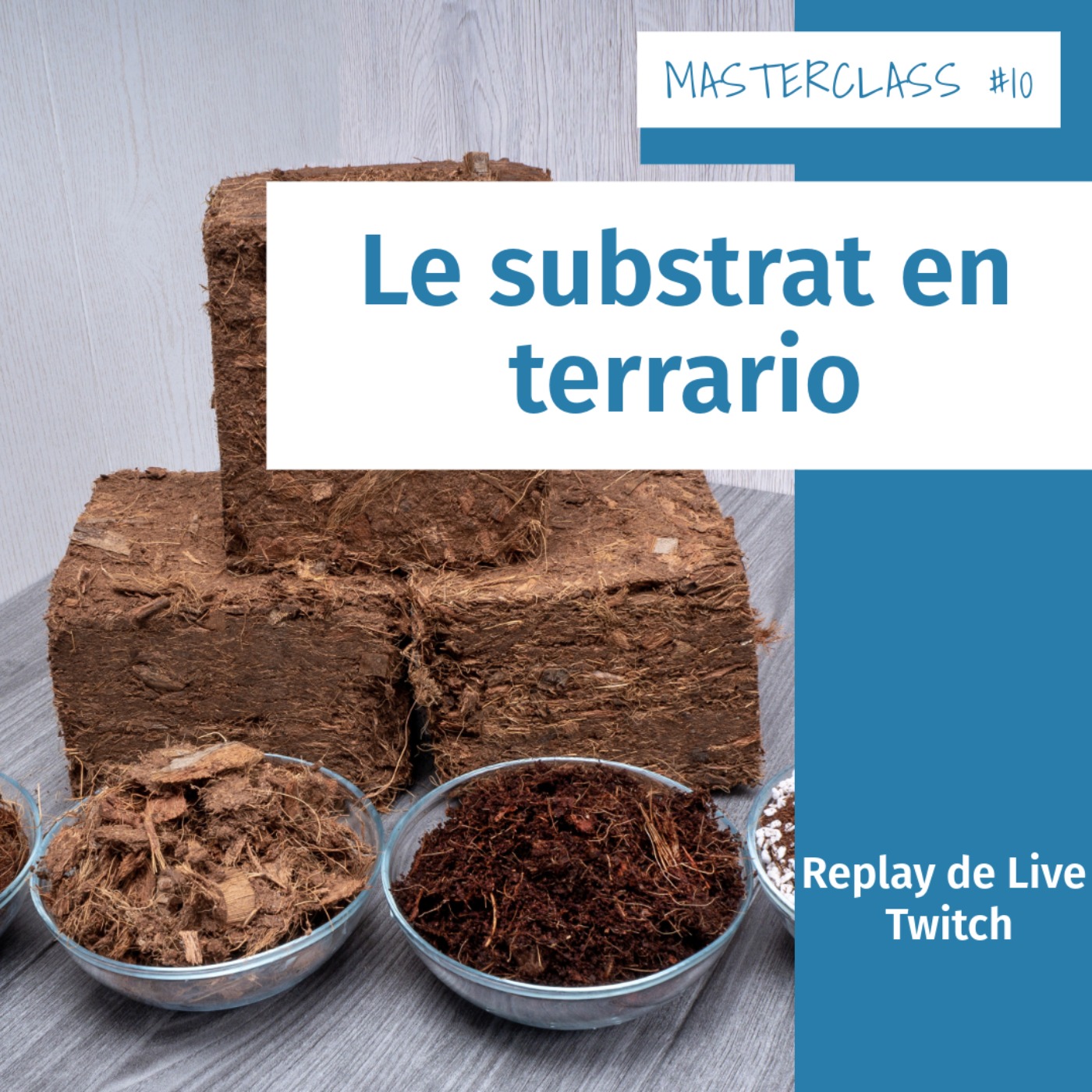Masterclass terrariophiles