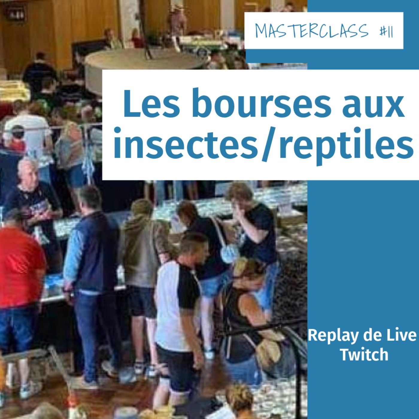 Masterclass terrariophiles