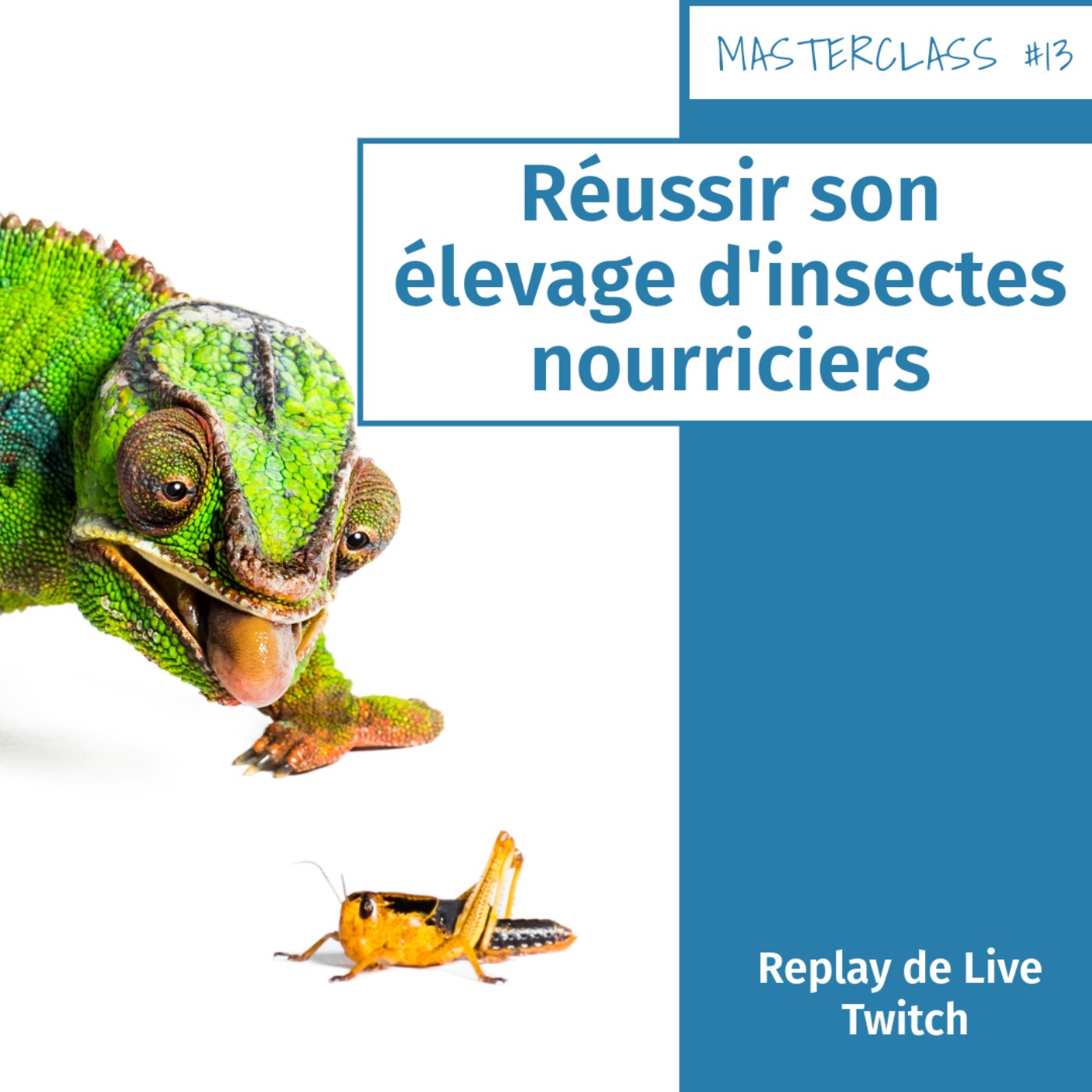 Masterclass terrariophiles