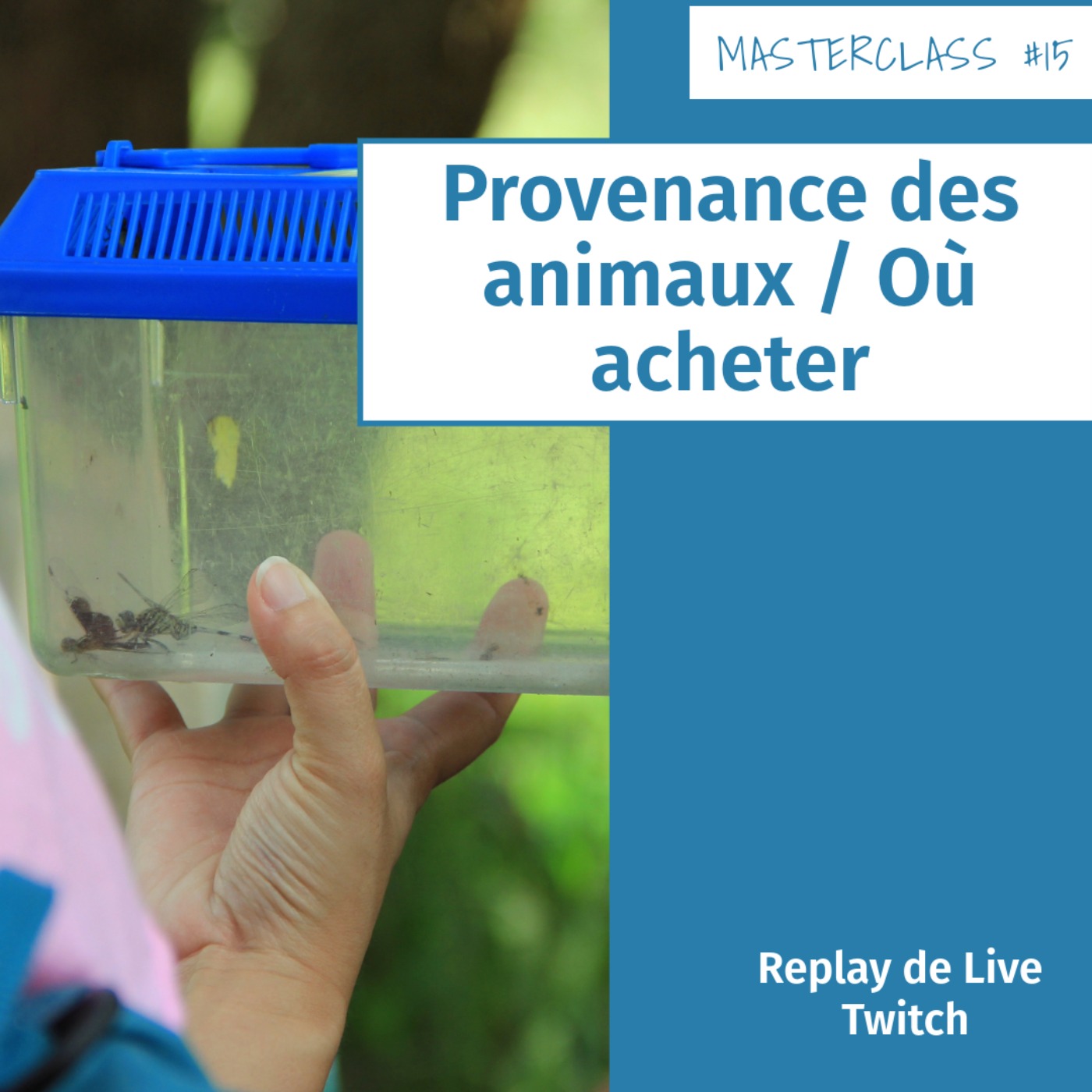 Masterclass terrariophiles