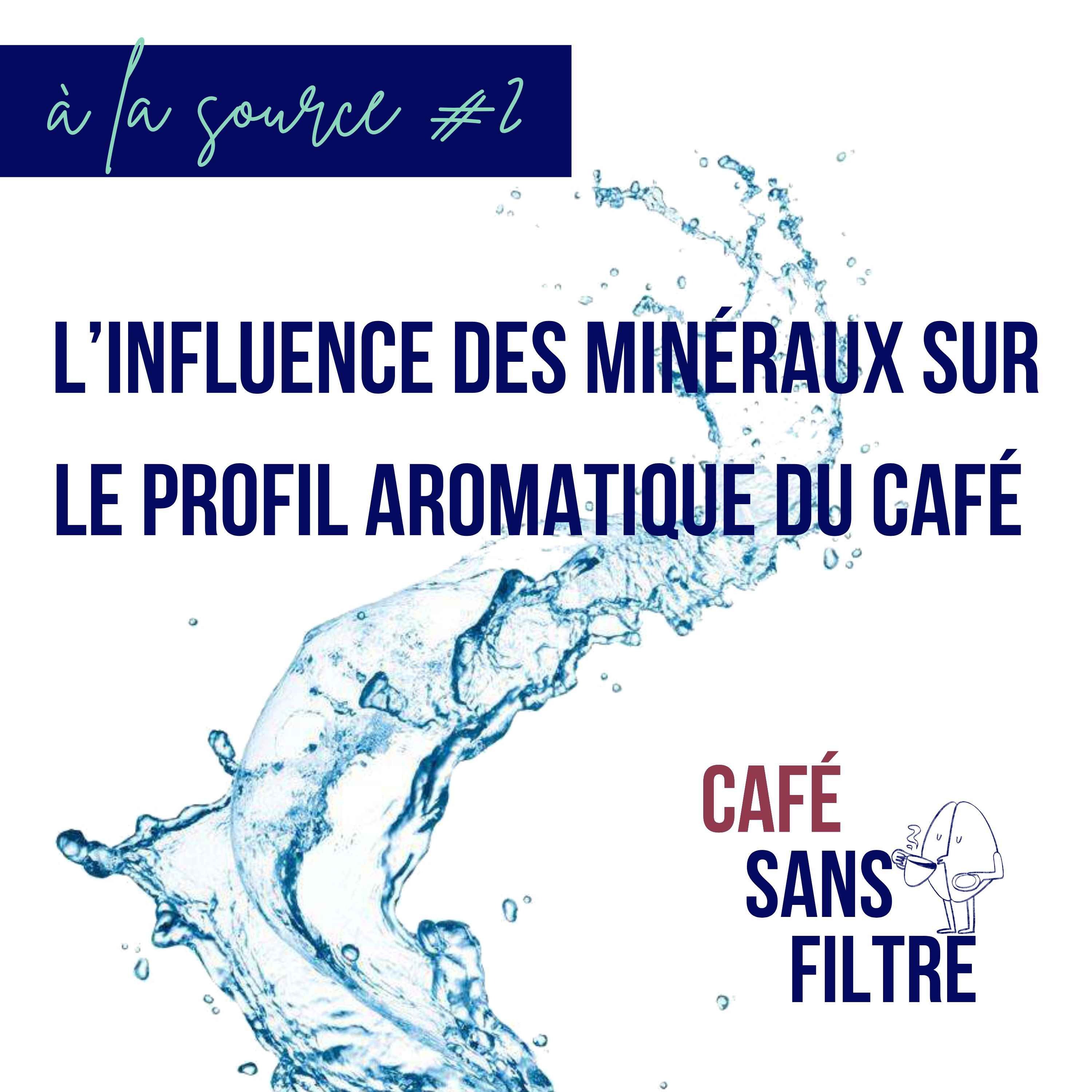 Café Sans Filtre