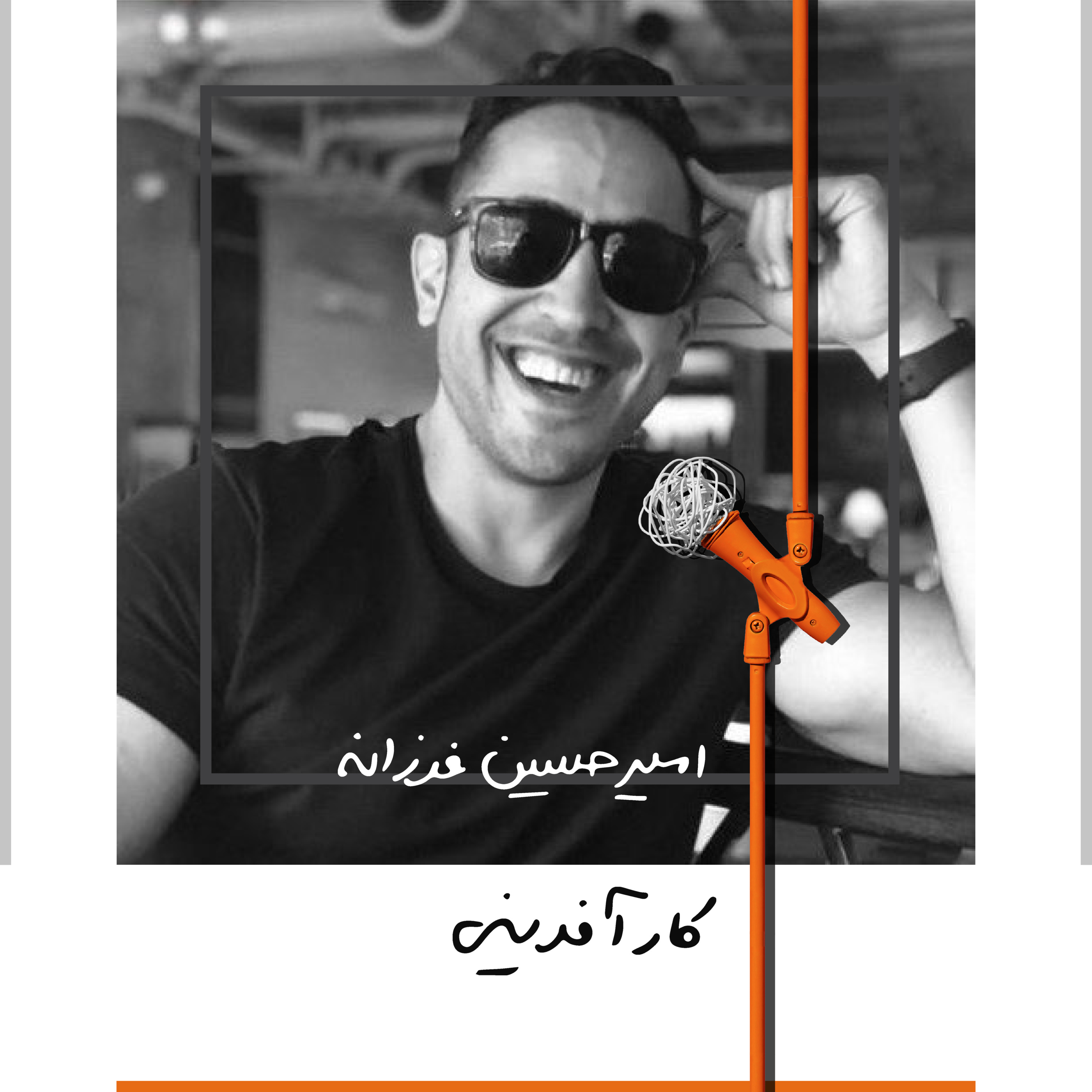 سه: کارآفرینی - امیرحسین فرزانه