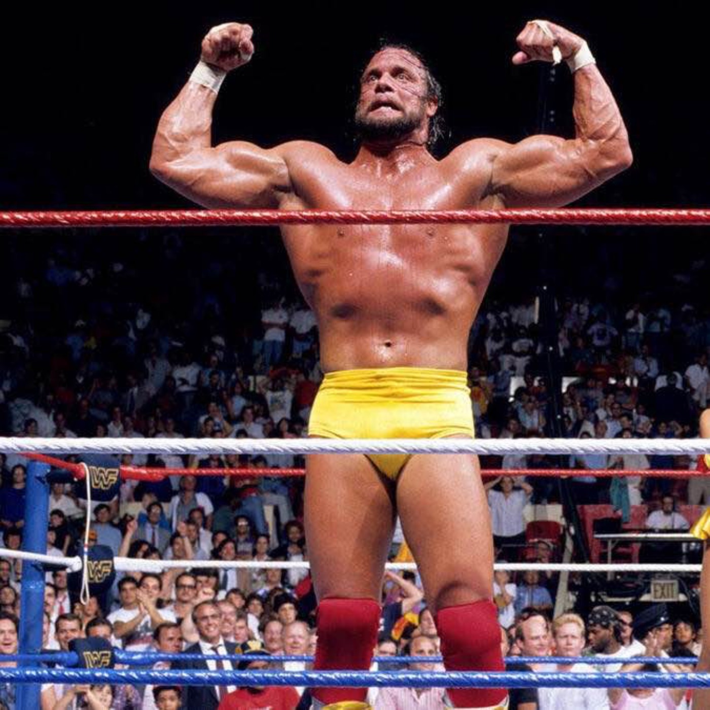 WWE SummerSlam 1988 Review Show: A STUNNING Twist At The End Of The Main Event episode artwork