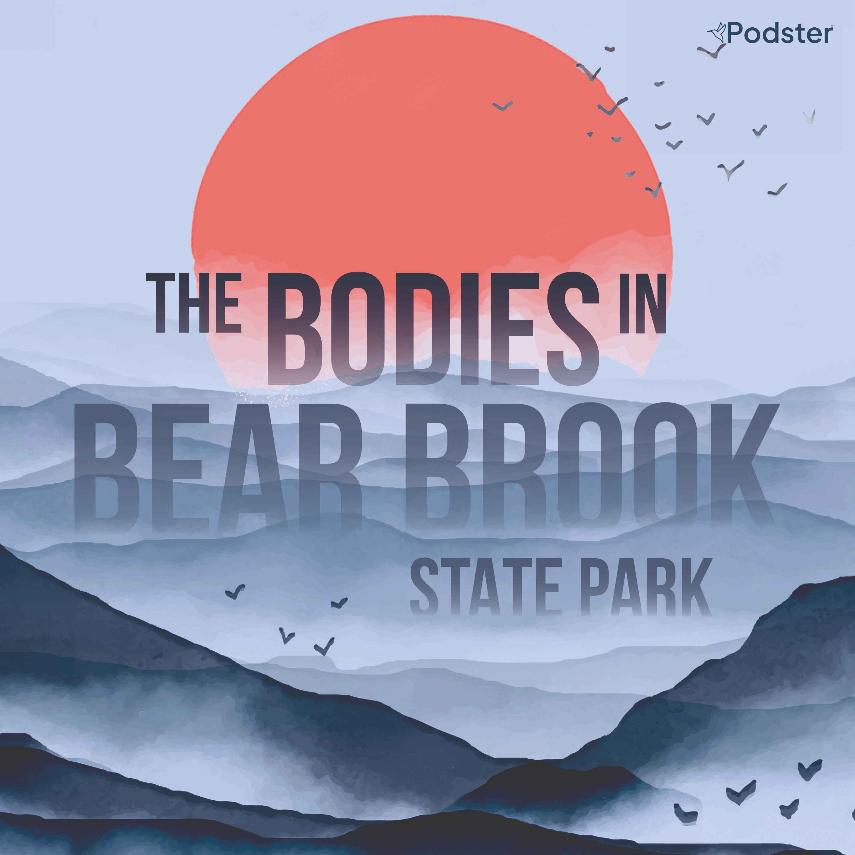 2. The Bodies in Bear Brook State Park