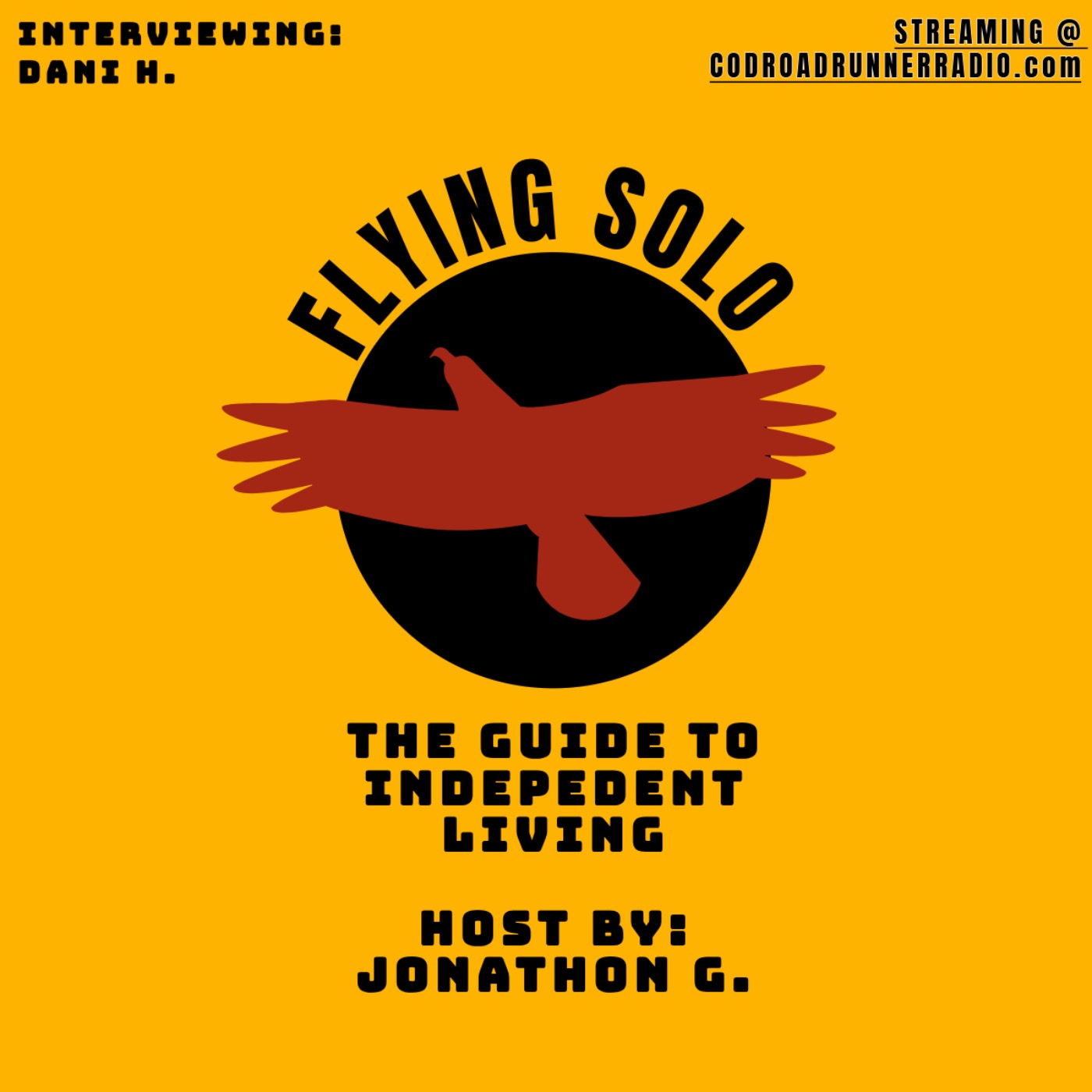 Flying Solo: A Guide to Independent Living episode artwork