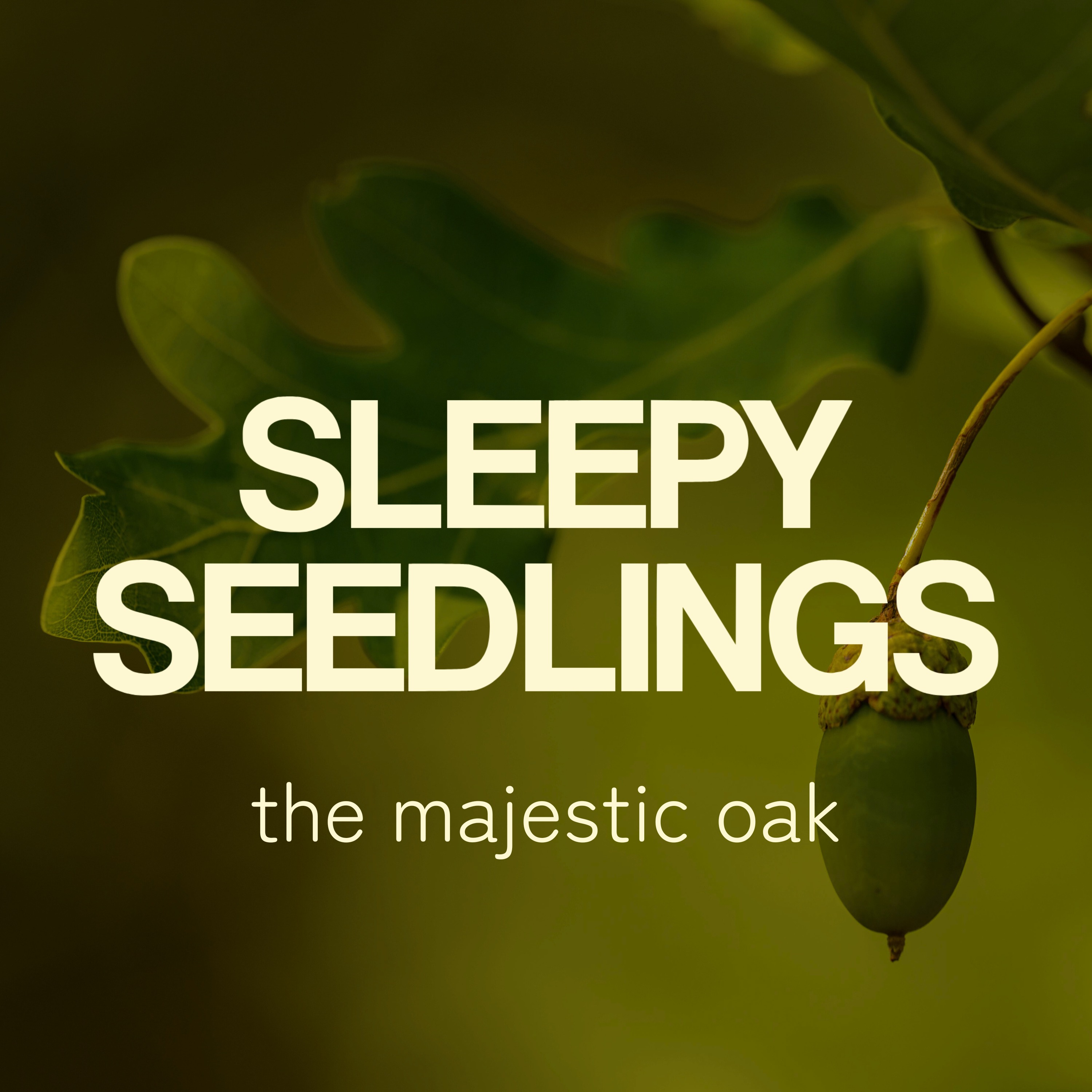 The Majestic Oak