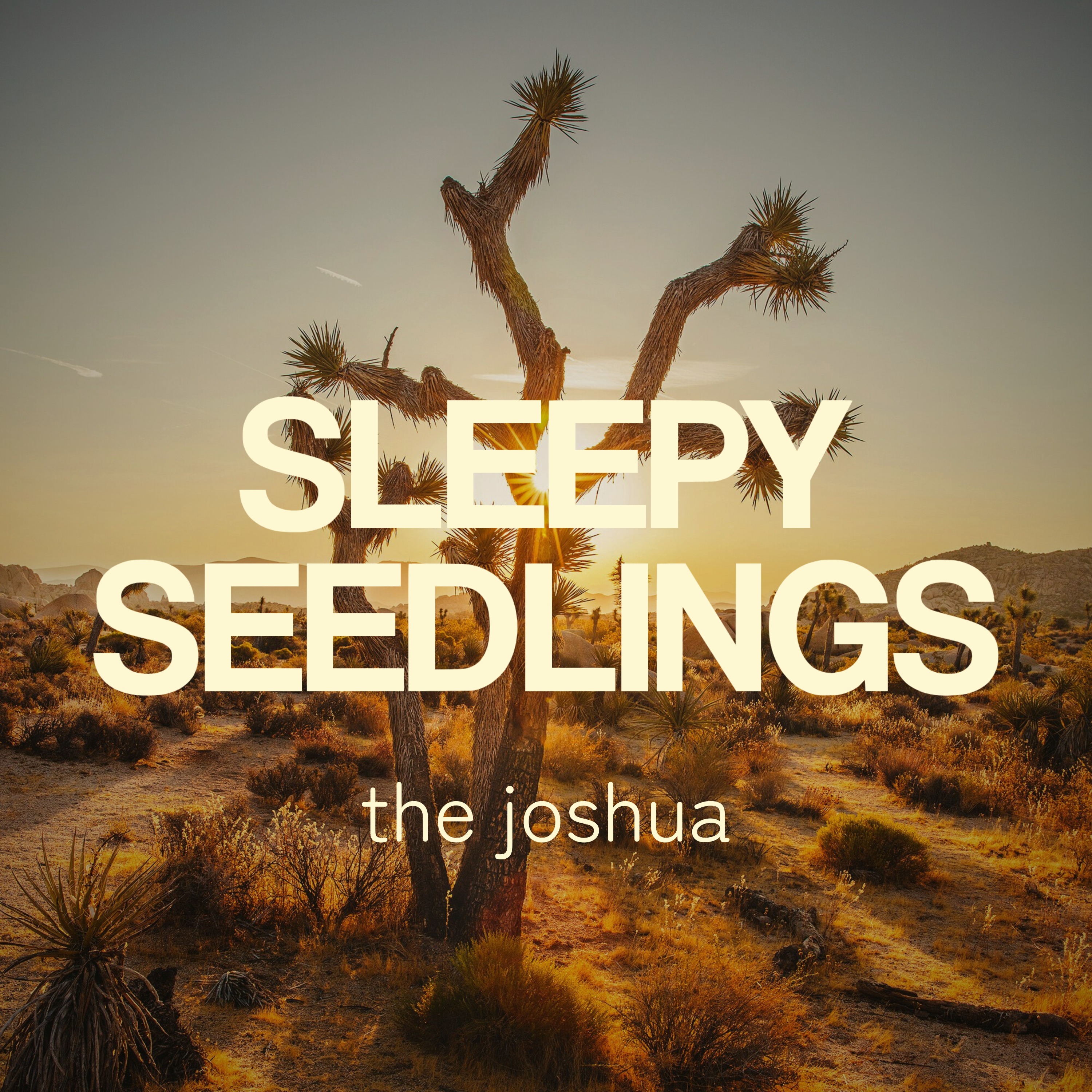 The Enduring Joshua