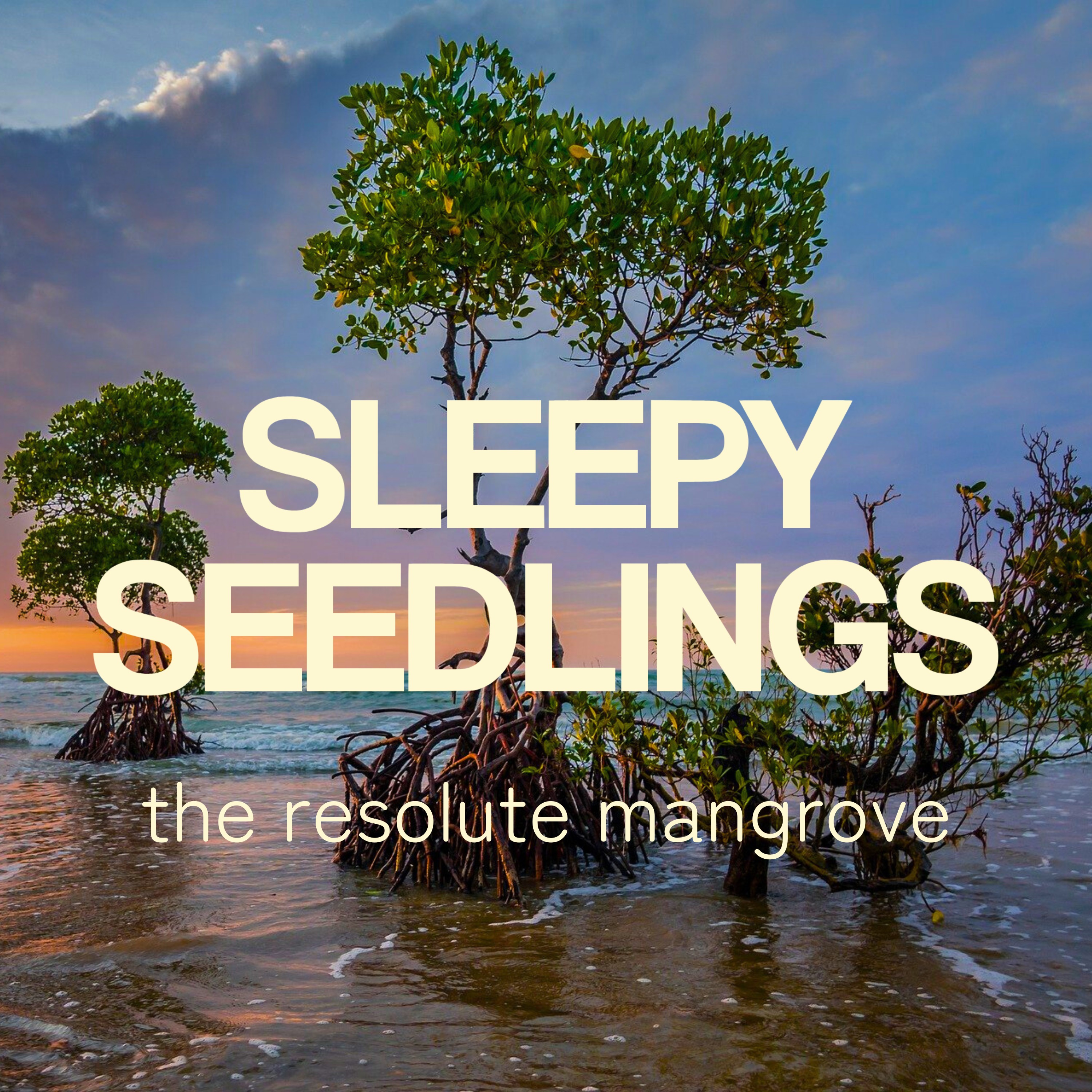 The Resolute Mangrove