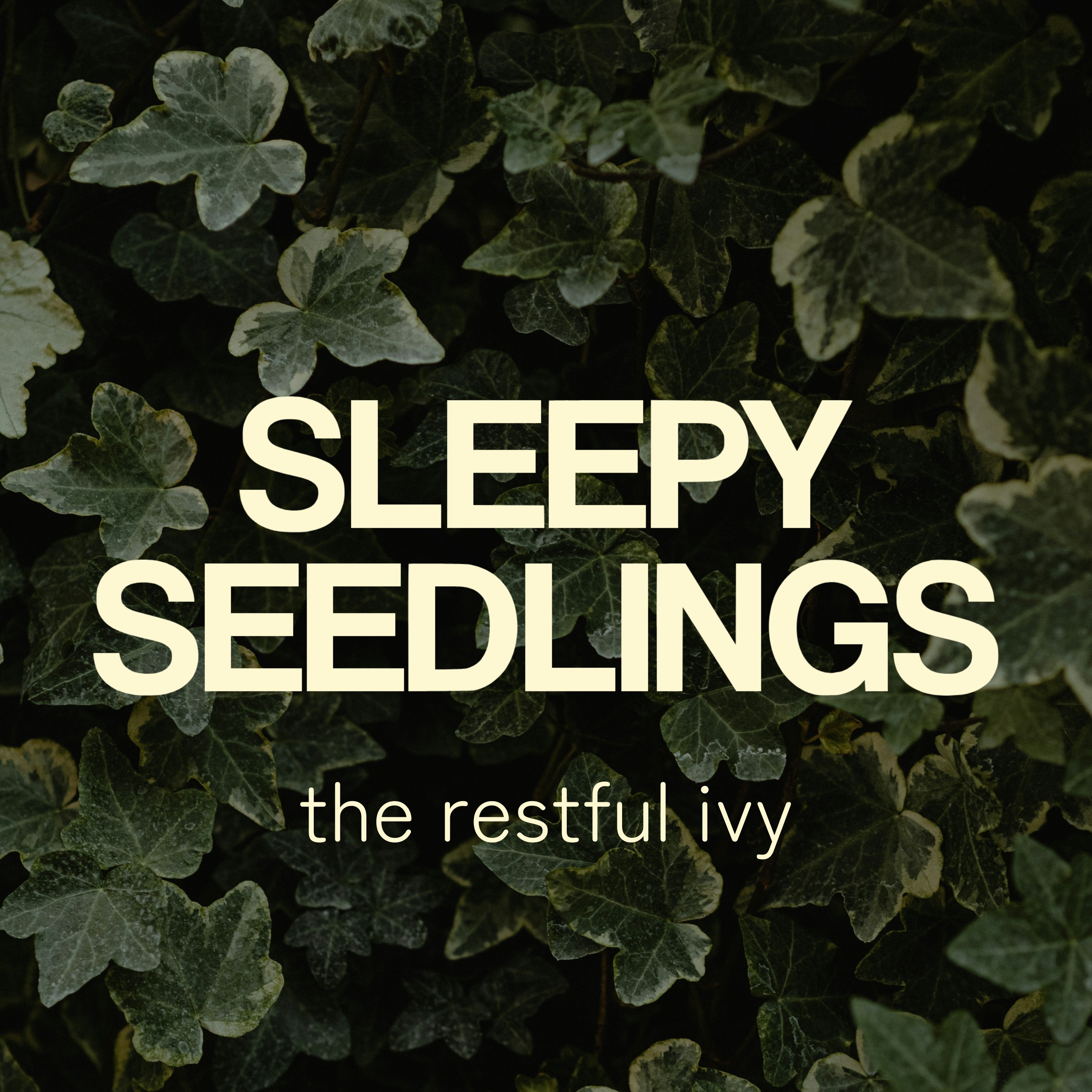 The Restful Ivy