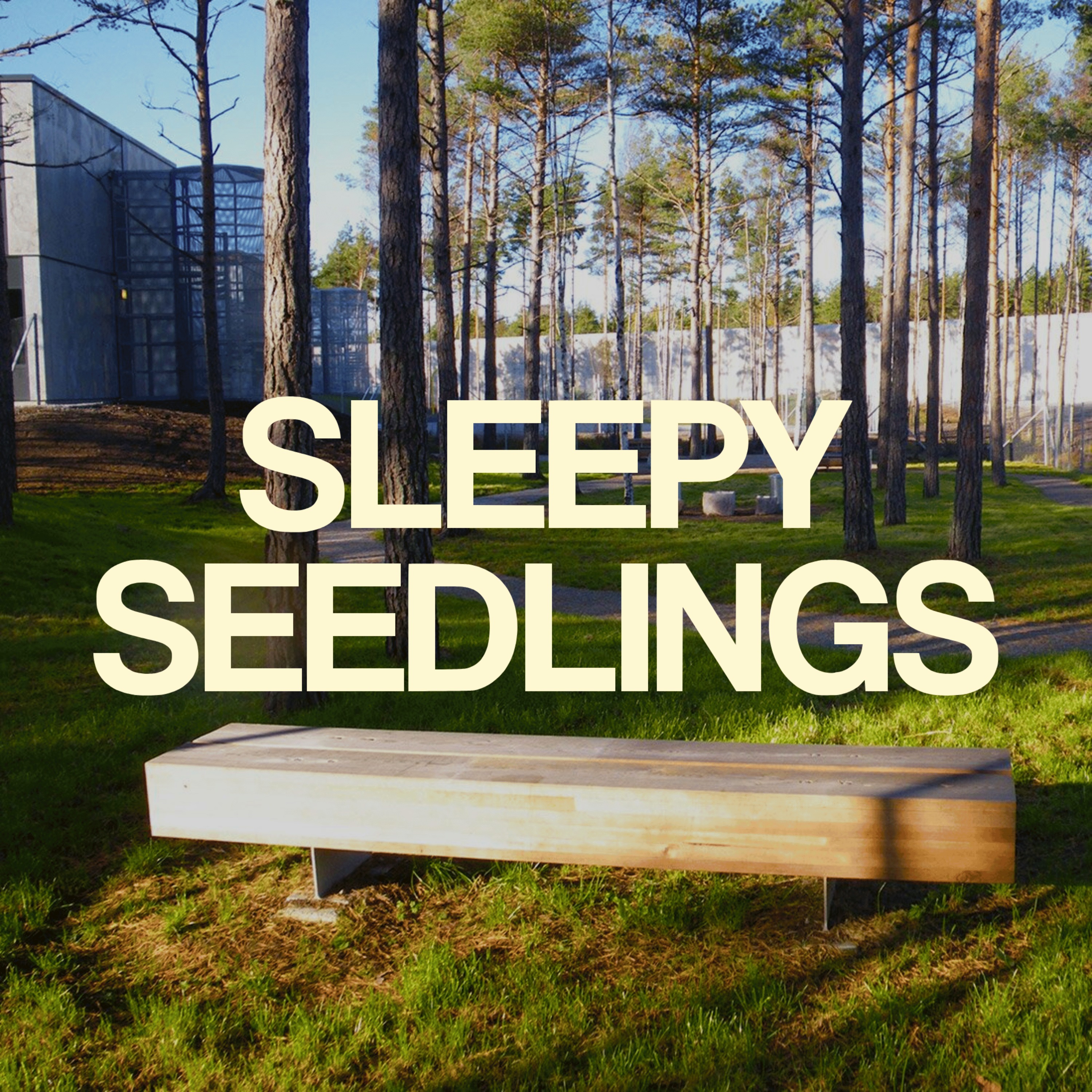 What Happens When You Plant a Prison in a Forest