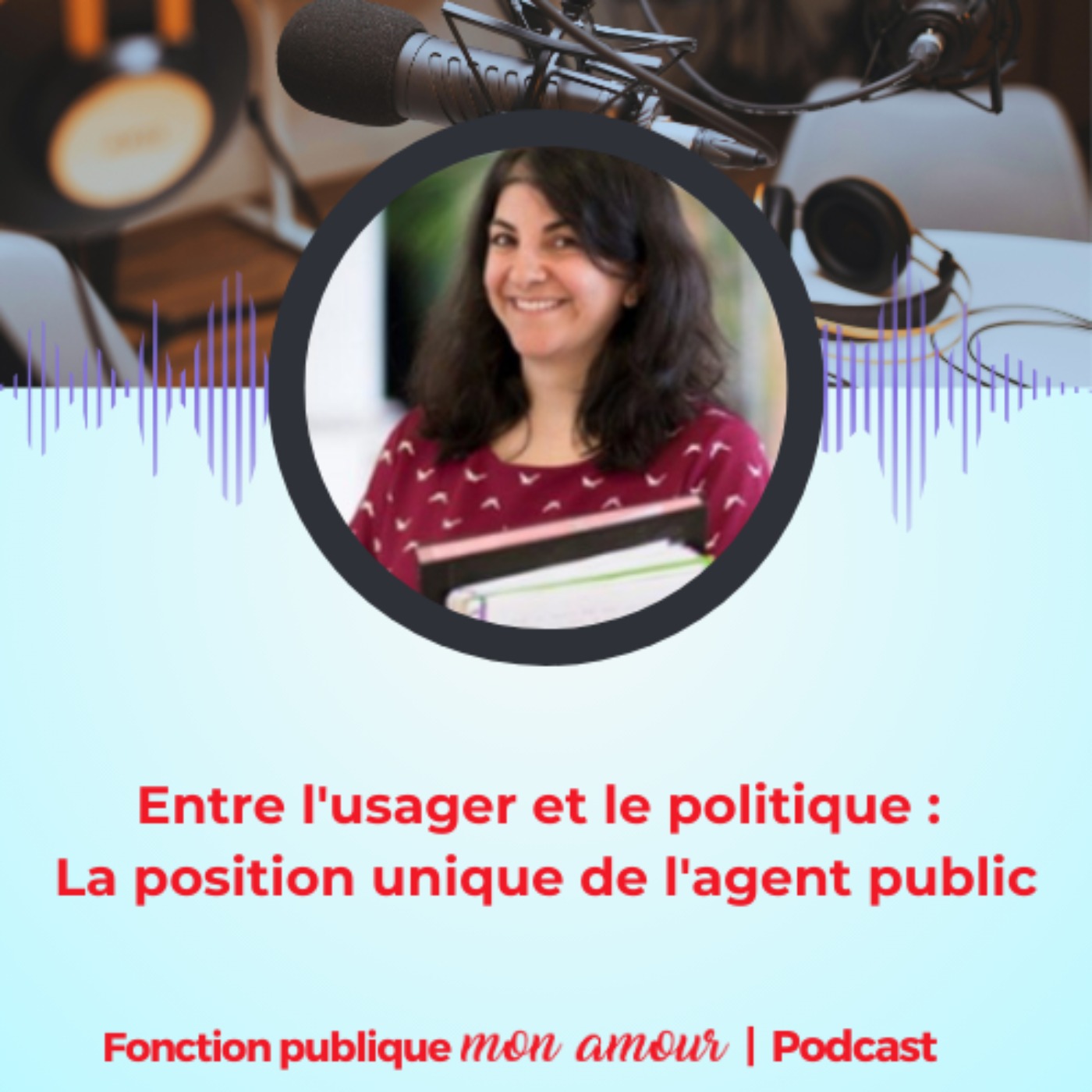 Entre l'usager et le politique : la position unique de l'agent public