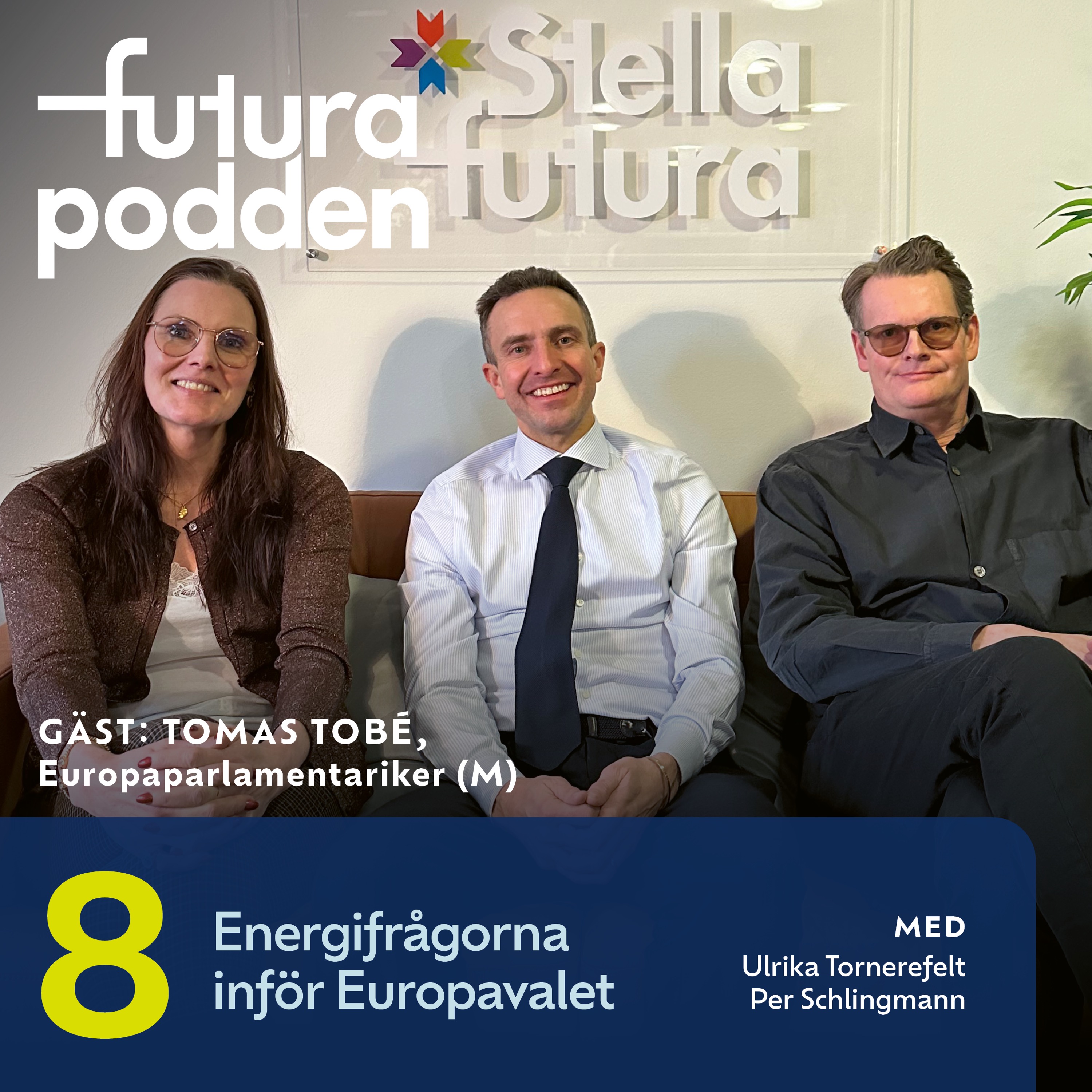 cover art for #8 - Energifrågorna inför Europavalet