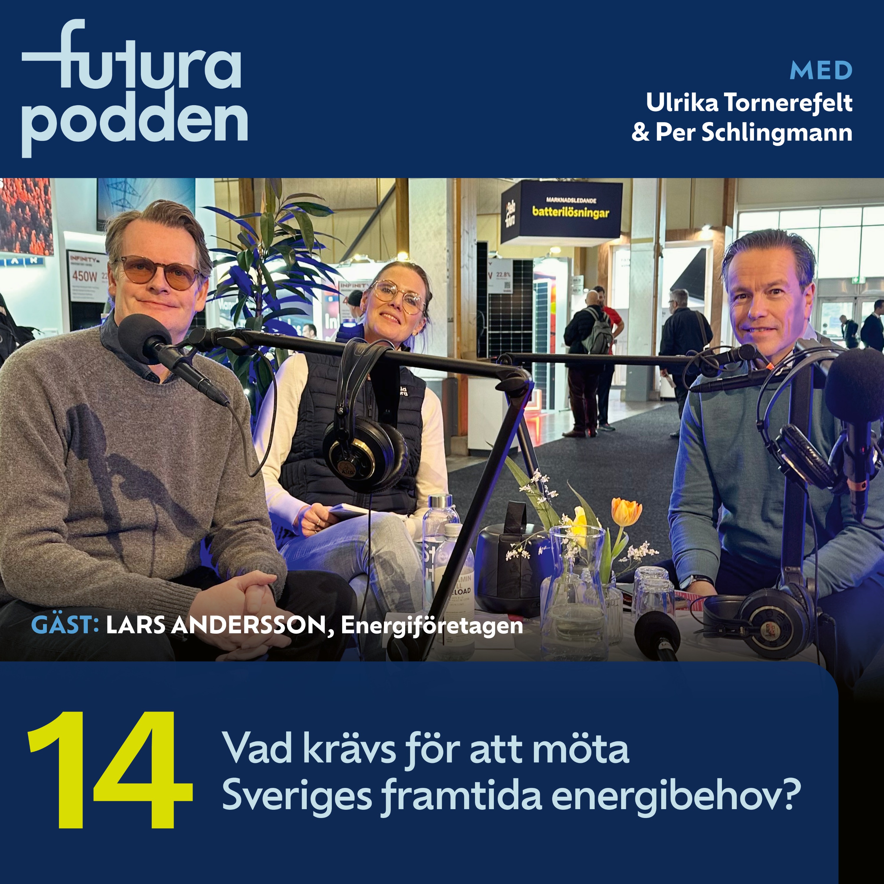 cover art for #14 - Vad krävs för att möta Sveriges framtida energibehov?