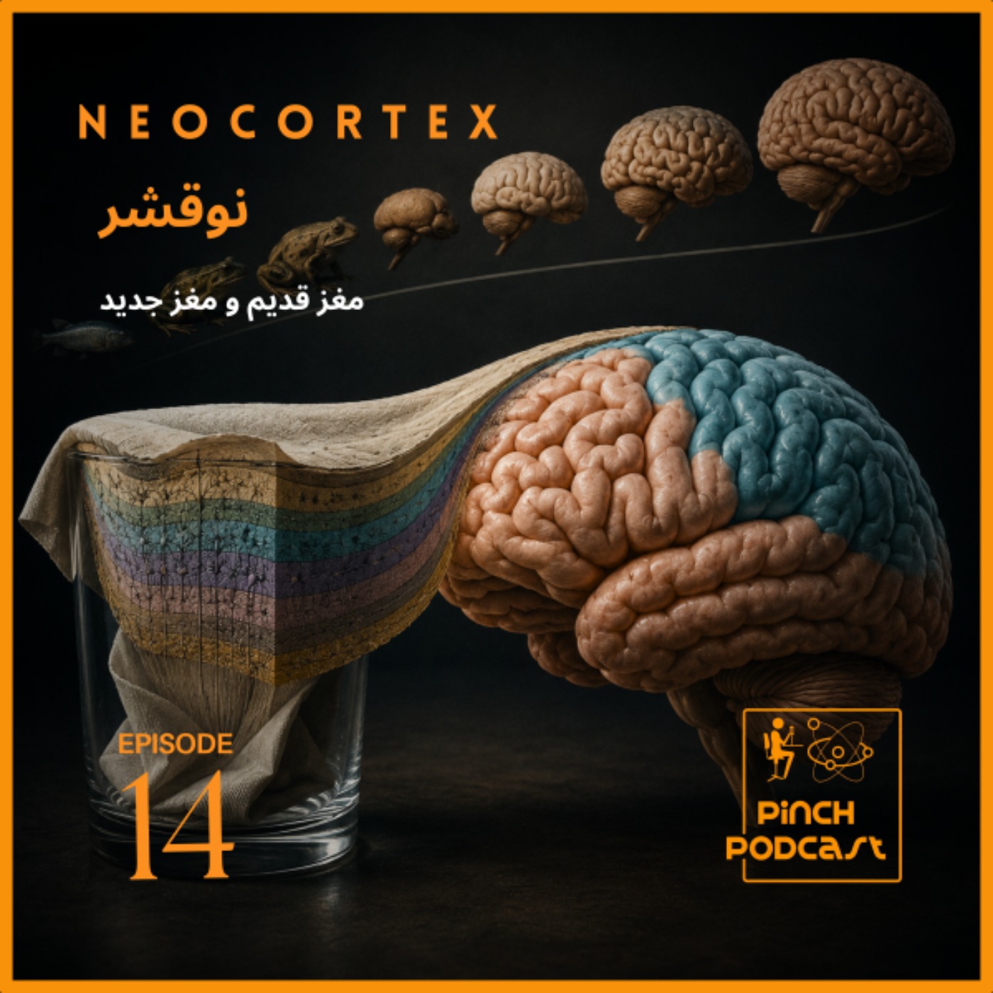 #14- نوقشر