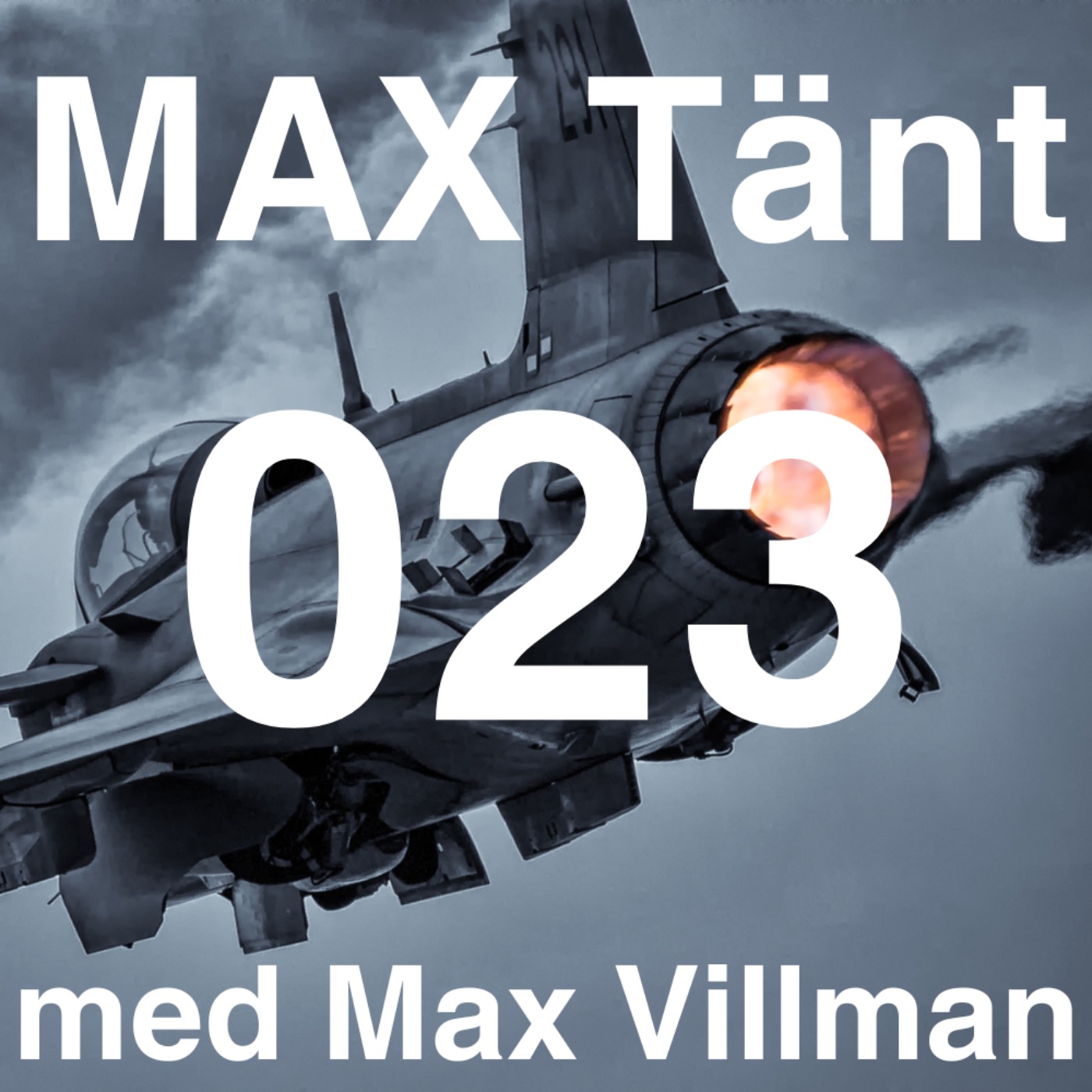 cover art for Max Tänt 023 - Brigadchef och Införandeledare nytt eldhandvapen - Överste Michael Carlén