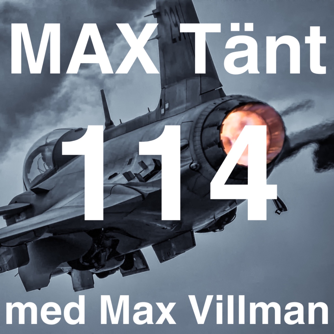 Lämna NATO? Så Vill Sverigedemokraterna att Sverige Försvaras!