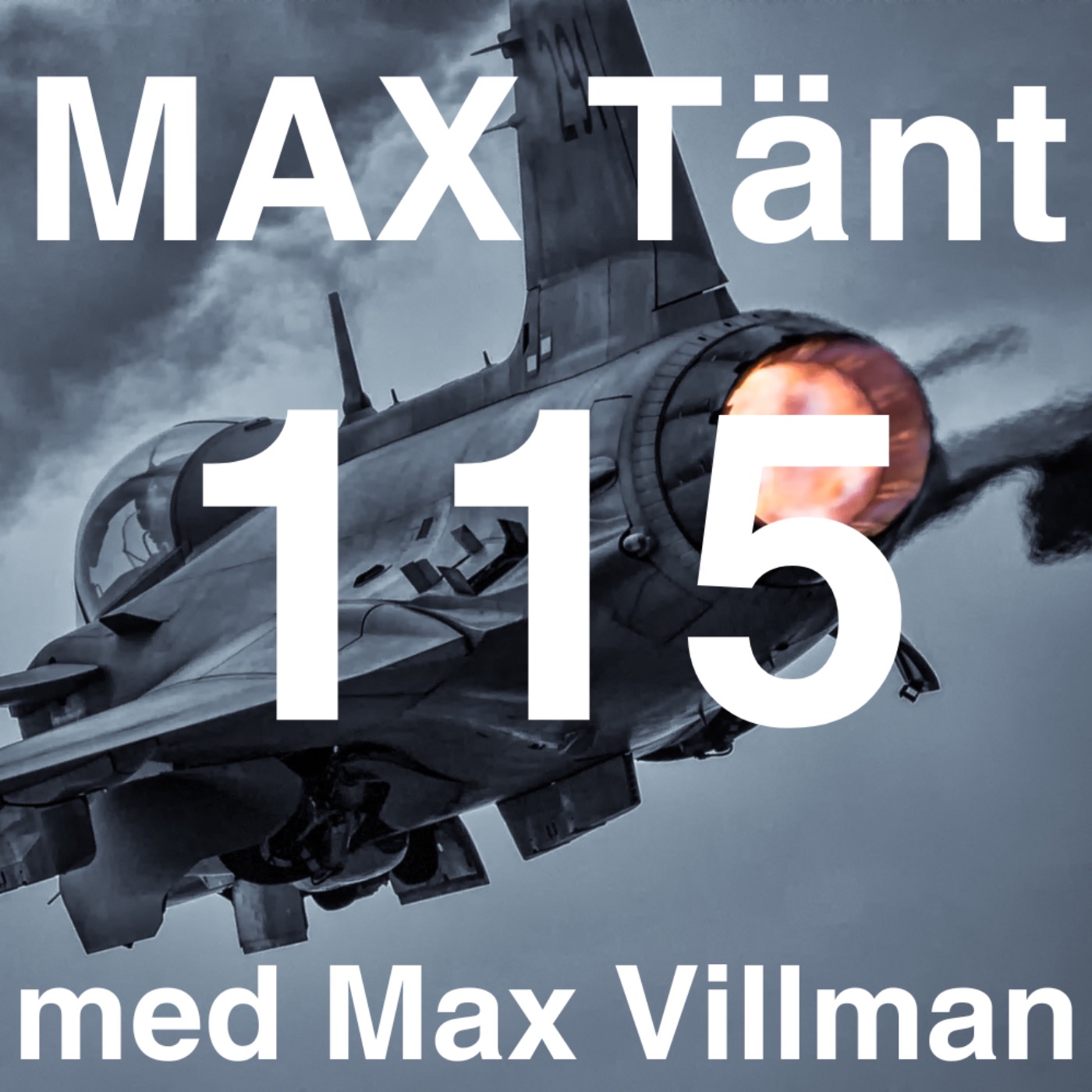 Helikopter pilot från Estonias räddningsinsats