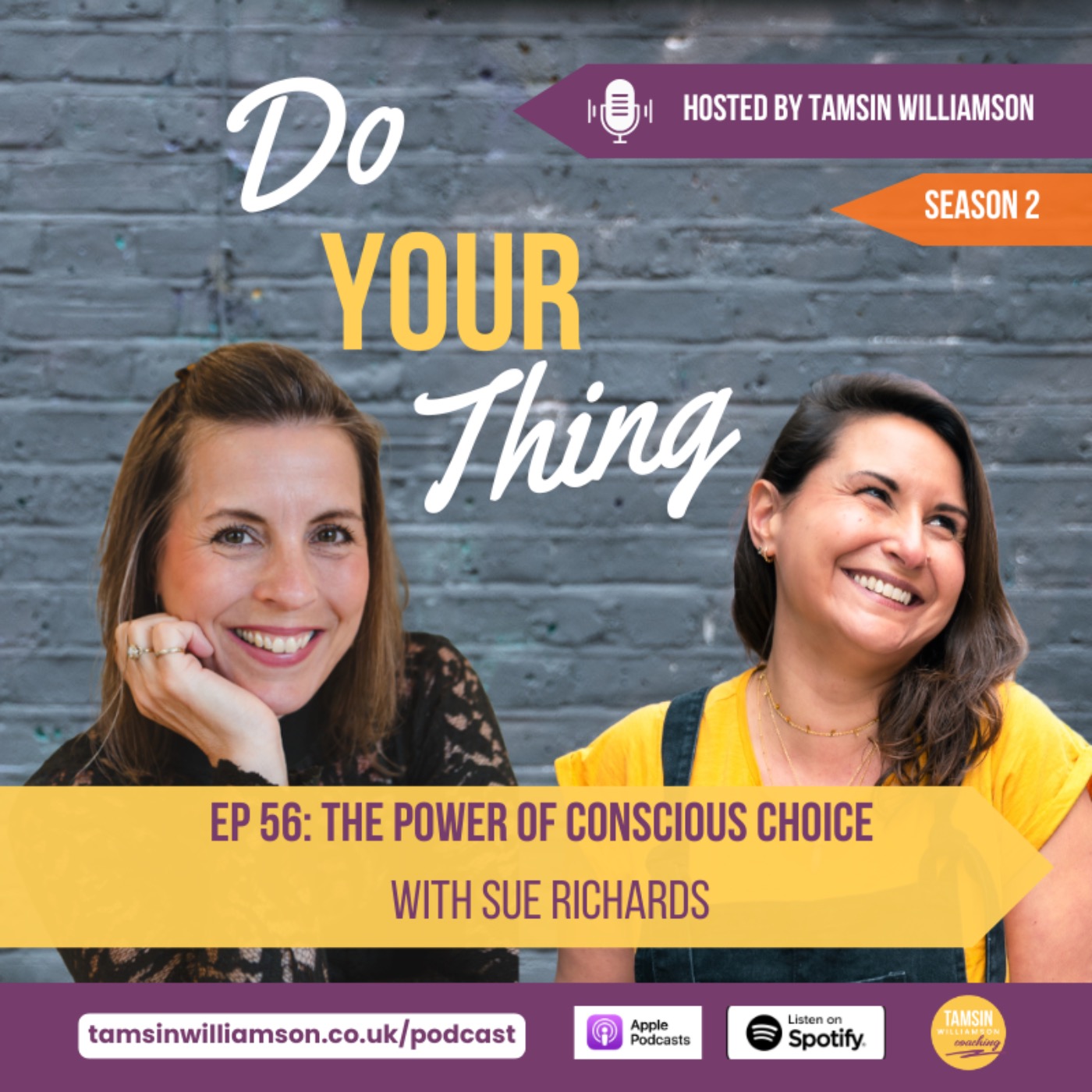 Ep56: The Power of Conscious Choice with Sue Richards episode artwork