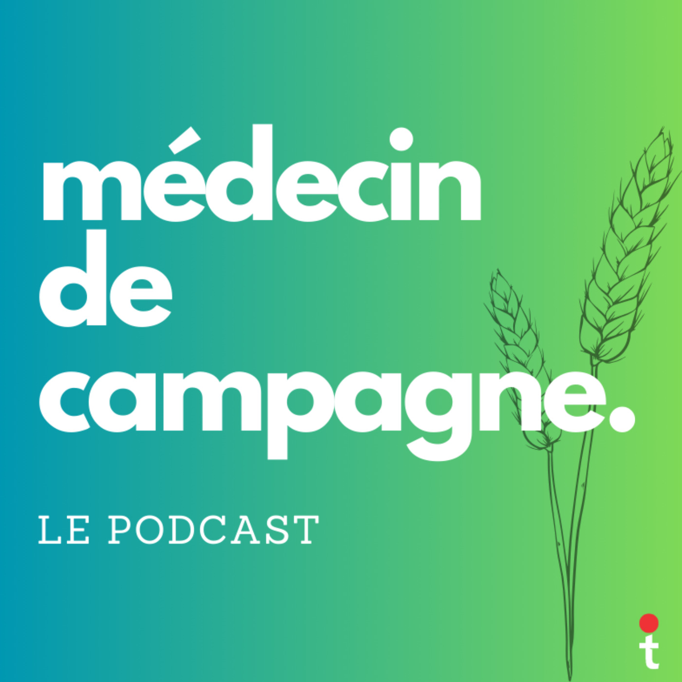 Médecin de campagne
