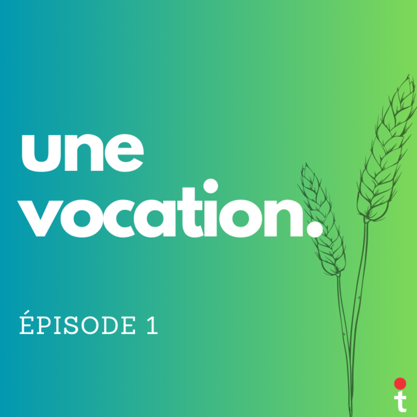 Médecin de campagne, une vocation