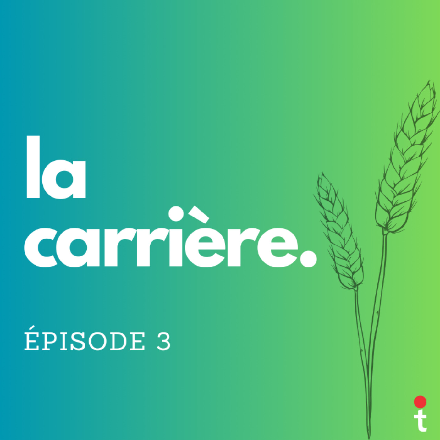 Médecin de campagne, la carrière