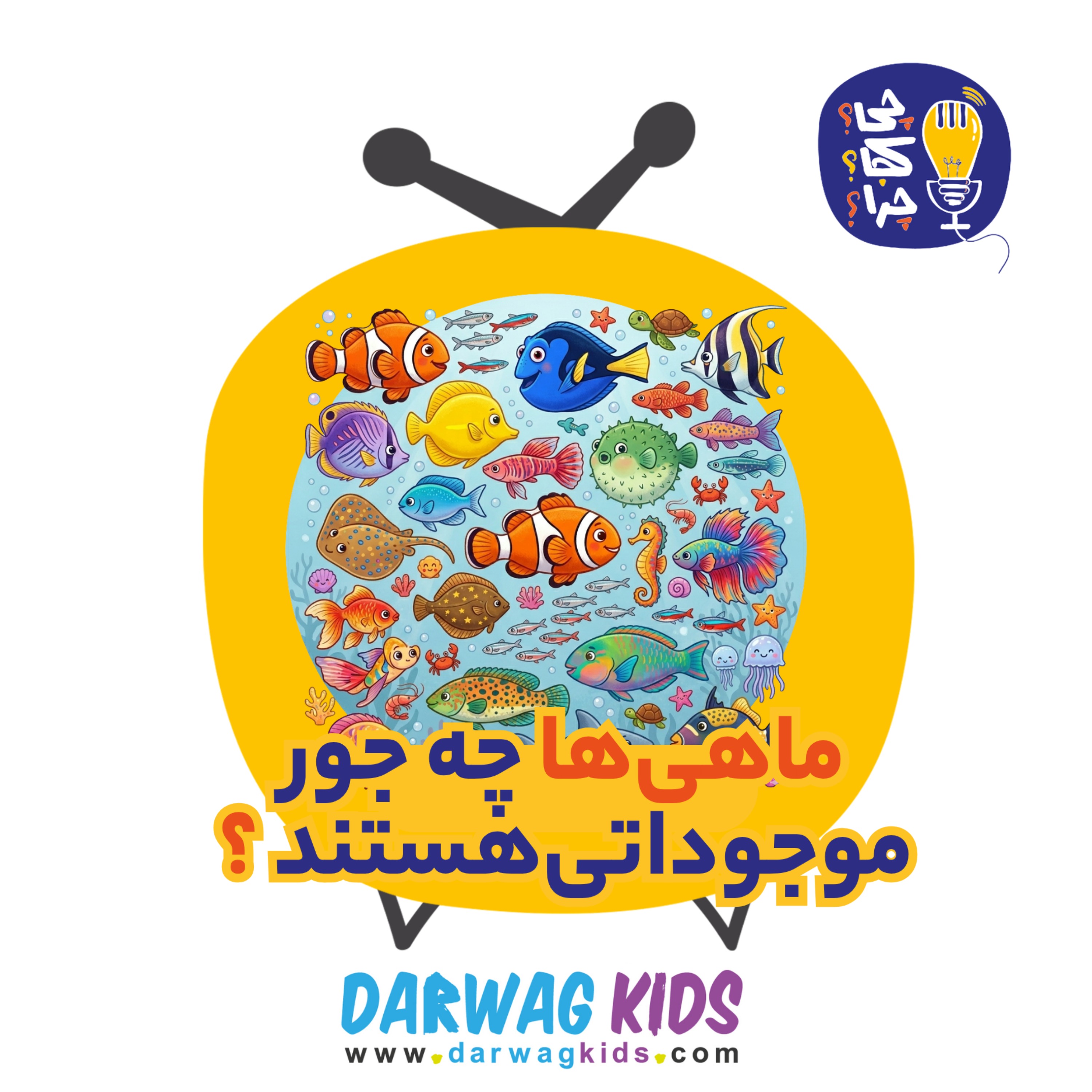 ماهی‌ها چه جور موجوداتی هستند؟