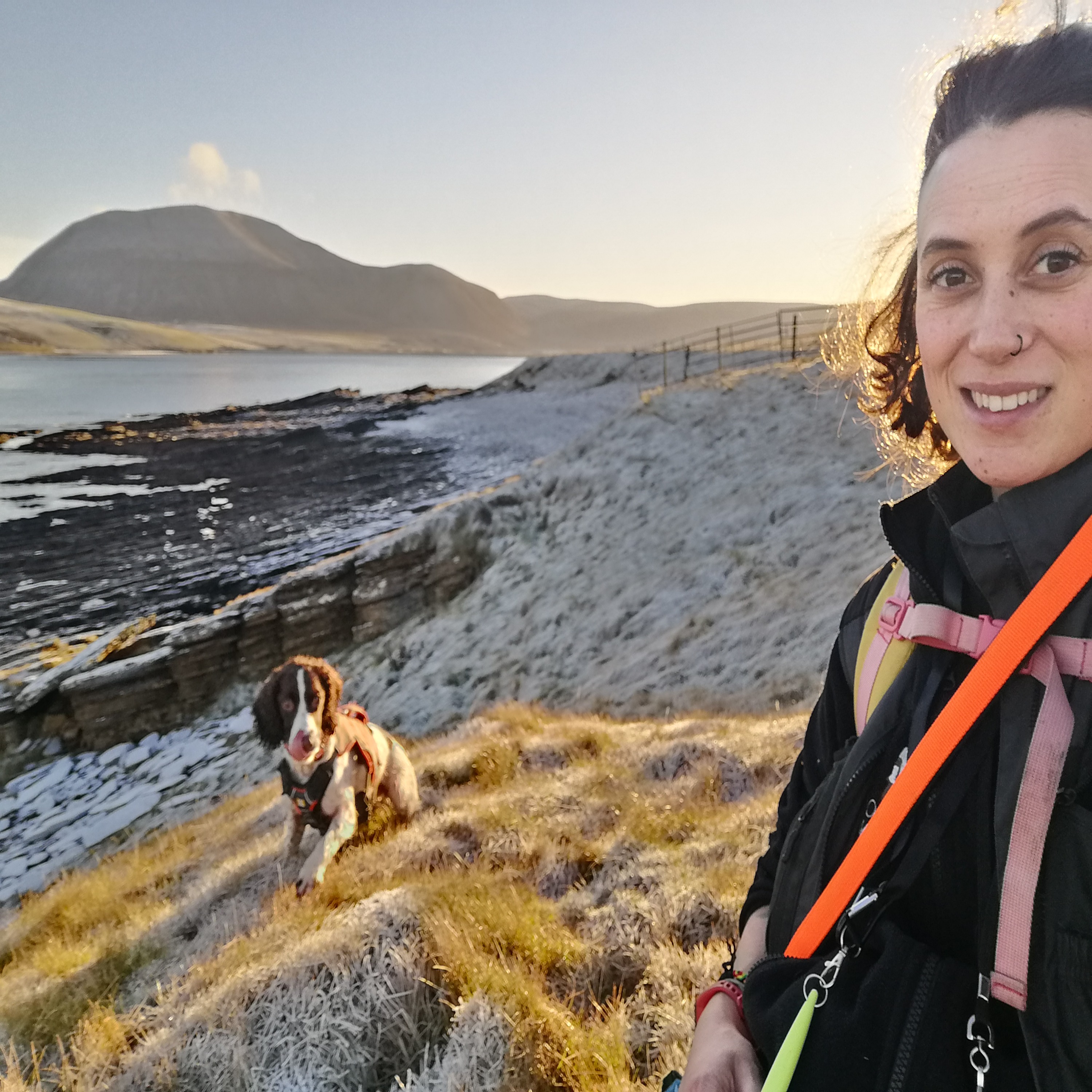 The Stoat Detection Dog Handler